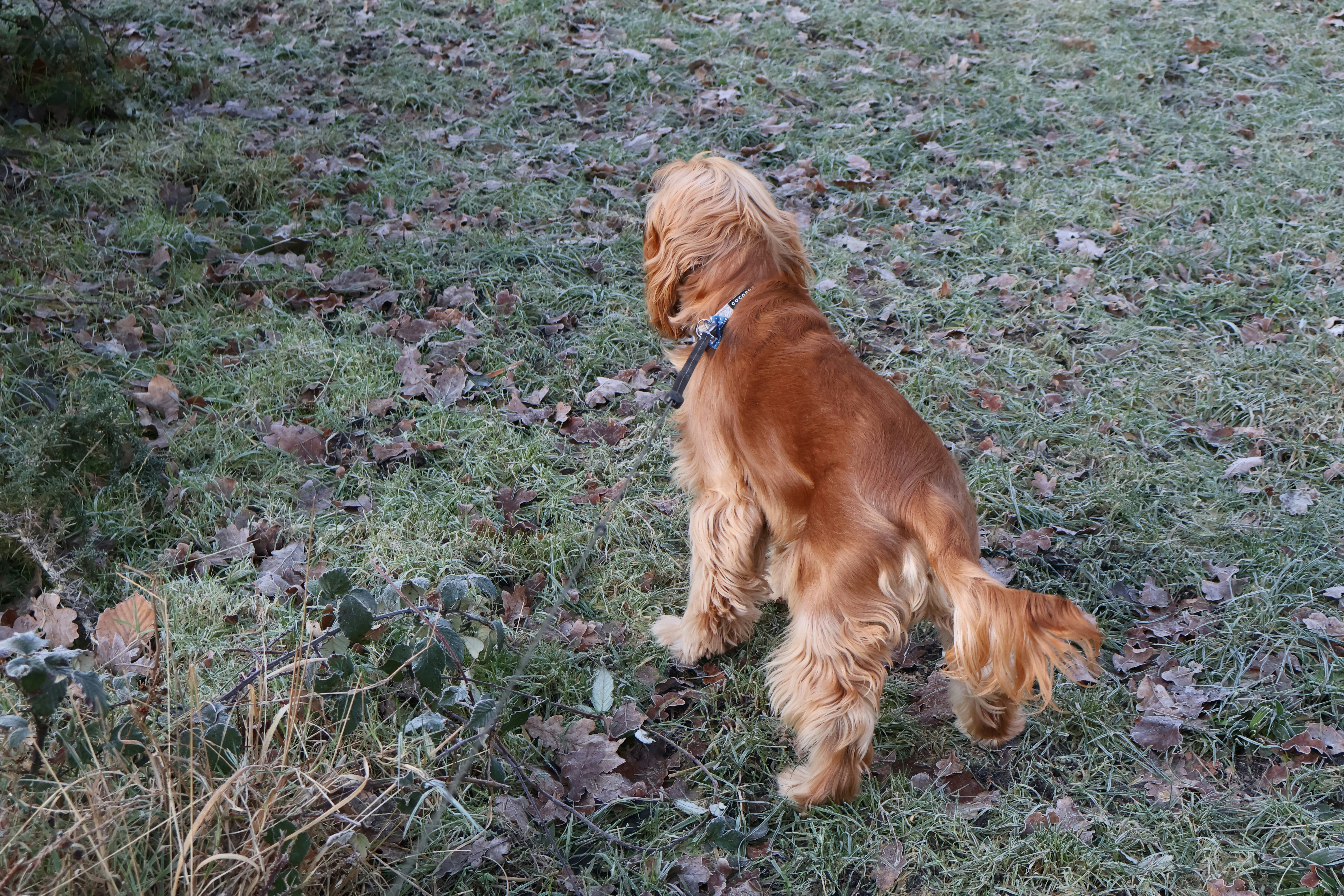 Photo by tanyabarrow