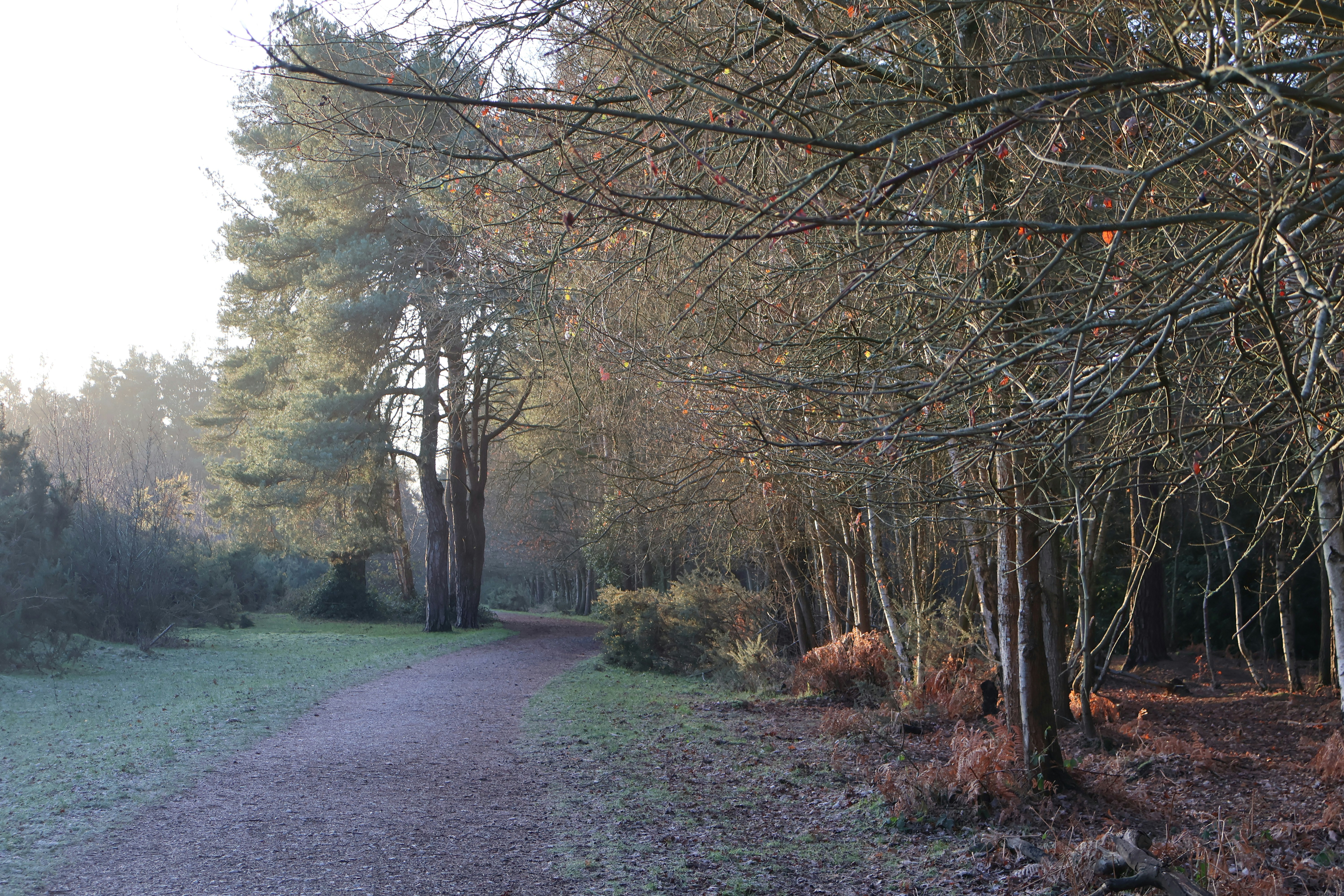 Photo by tanyabarrow