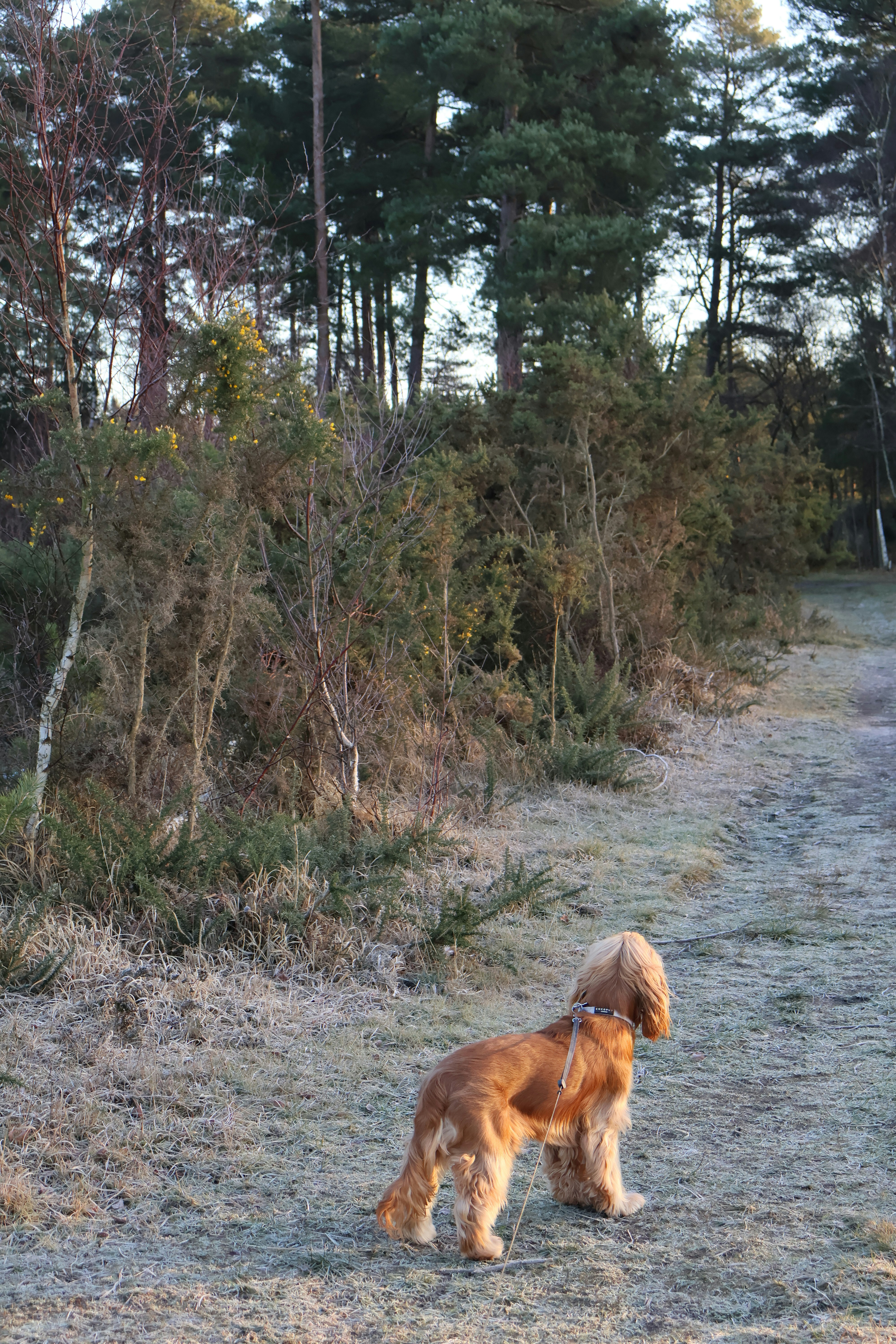 Photo by tanyabarrow