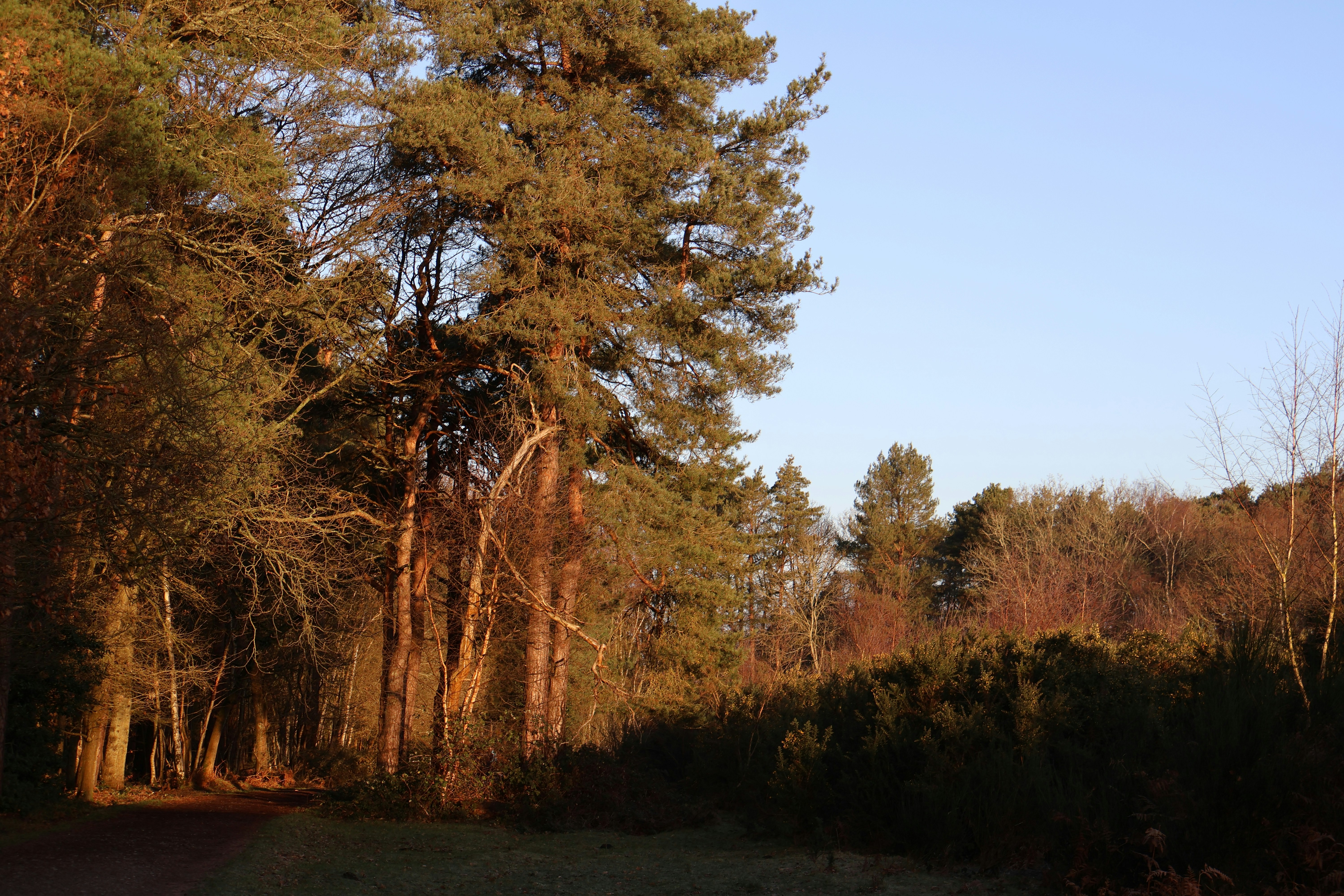 Photo by tanyabarrow