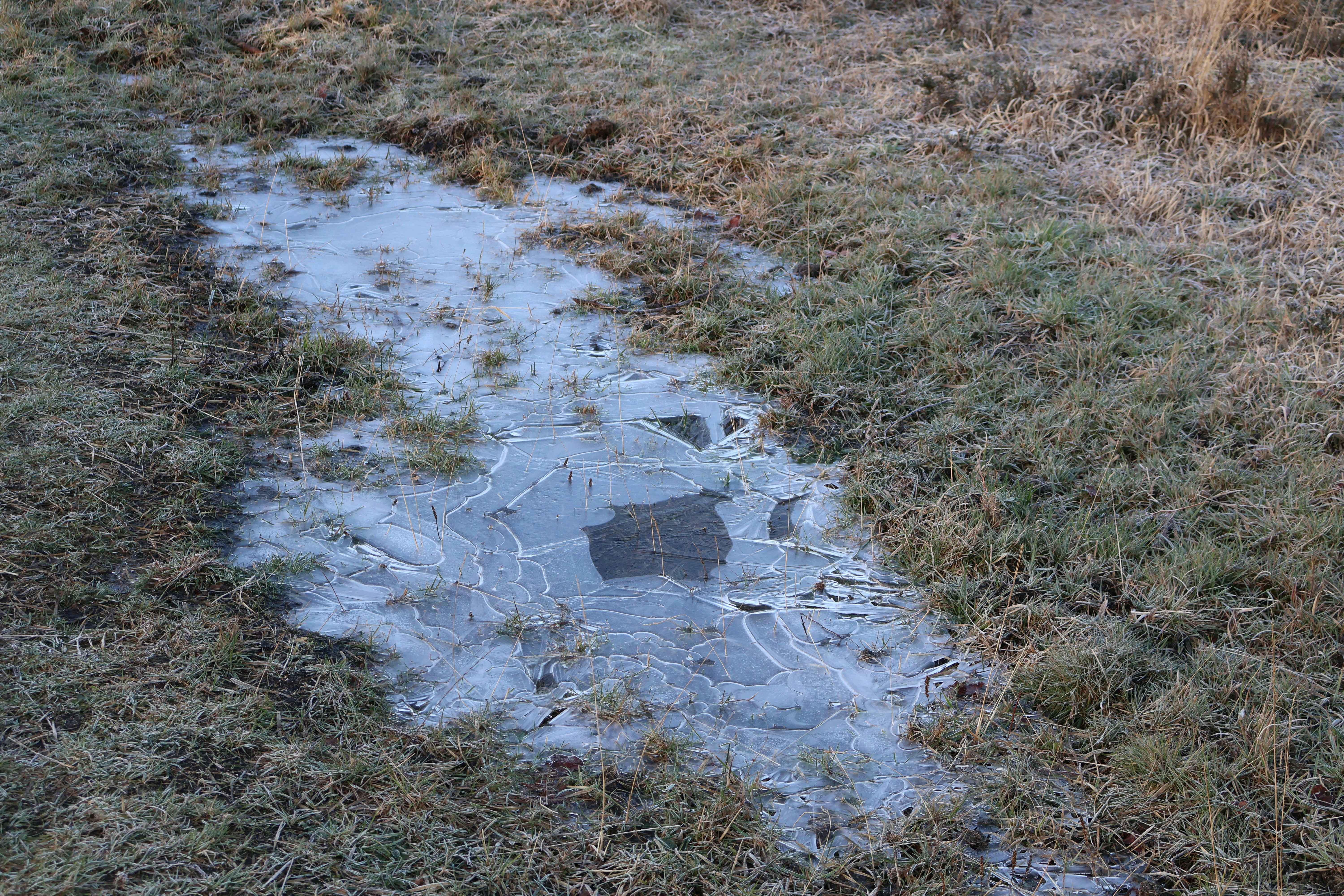 Photo by tanyabarrow