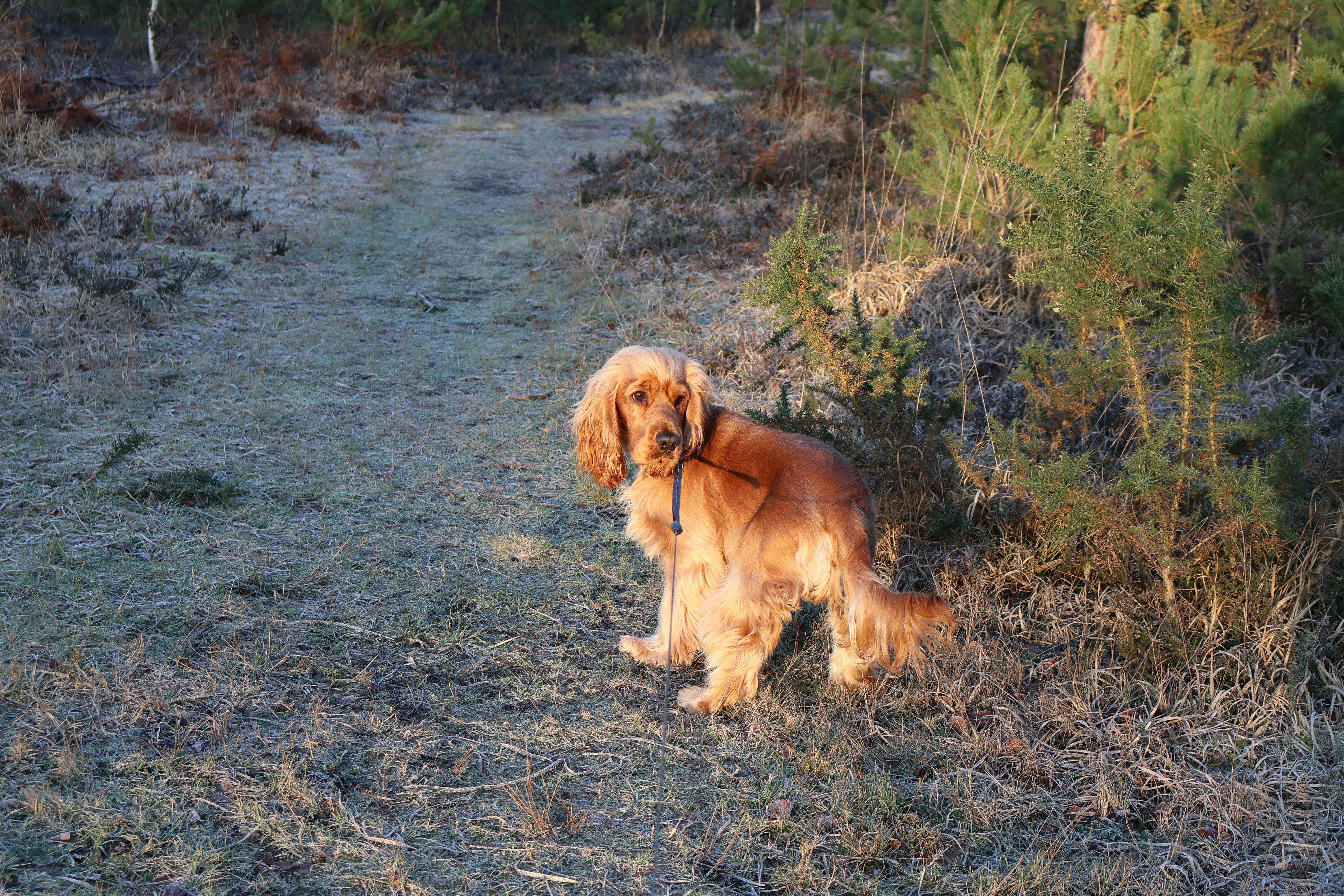 Photo by tanyabarrow