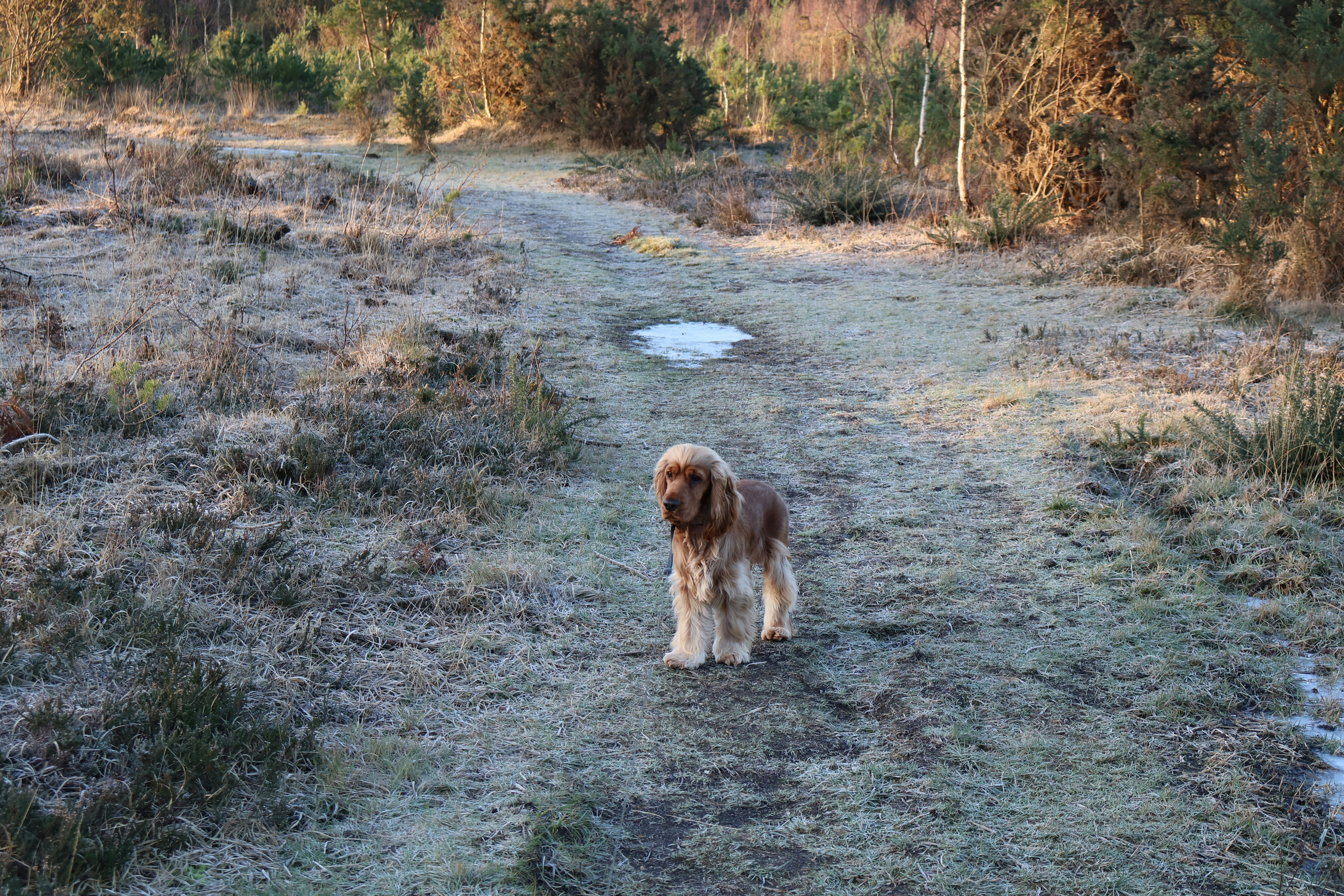 Photo by tanyabarrow