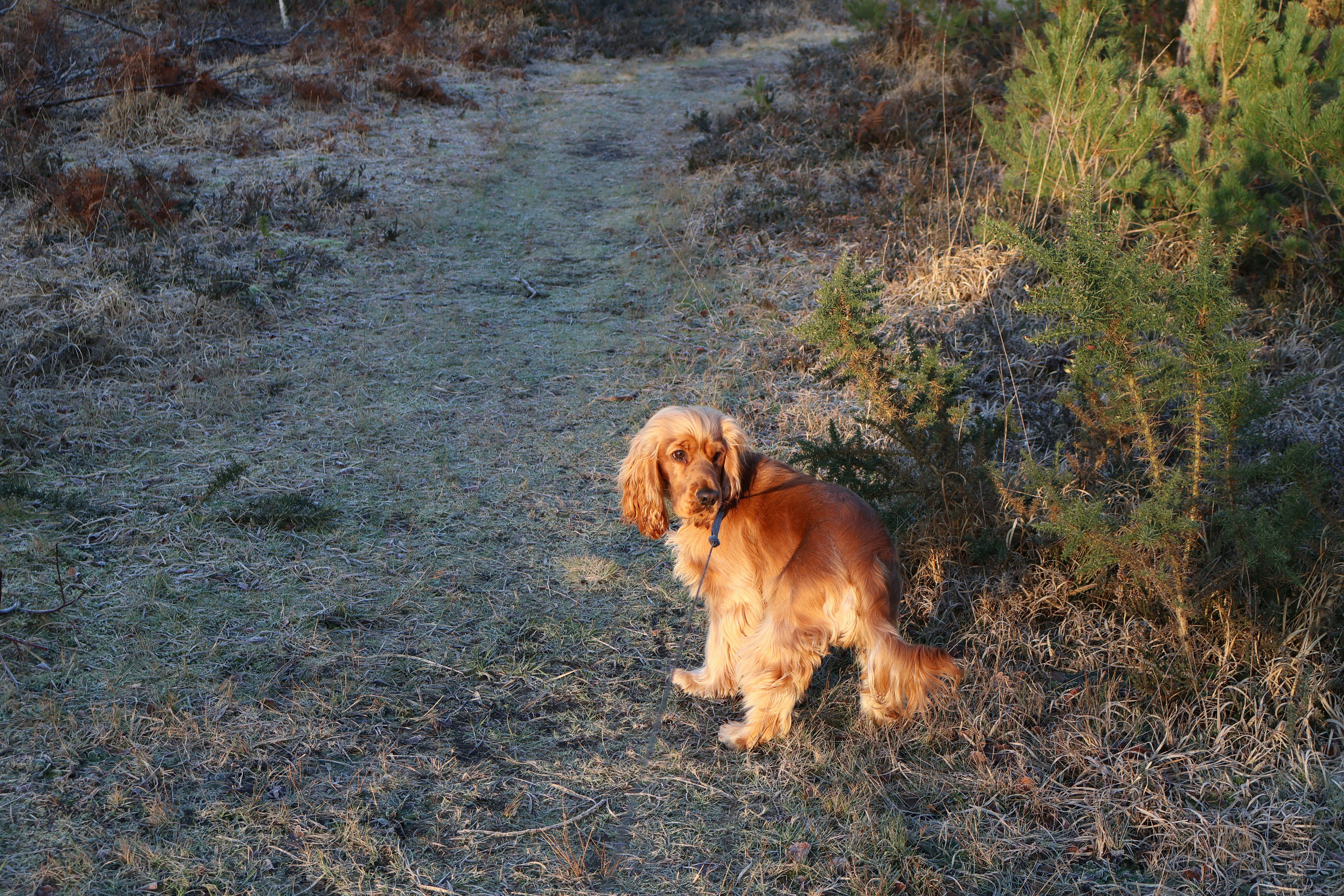 Photo by tanyabarrow