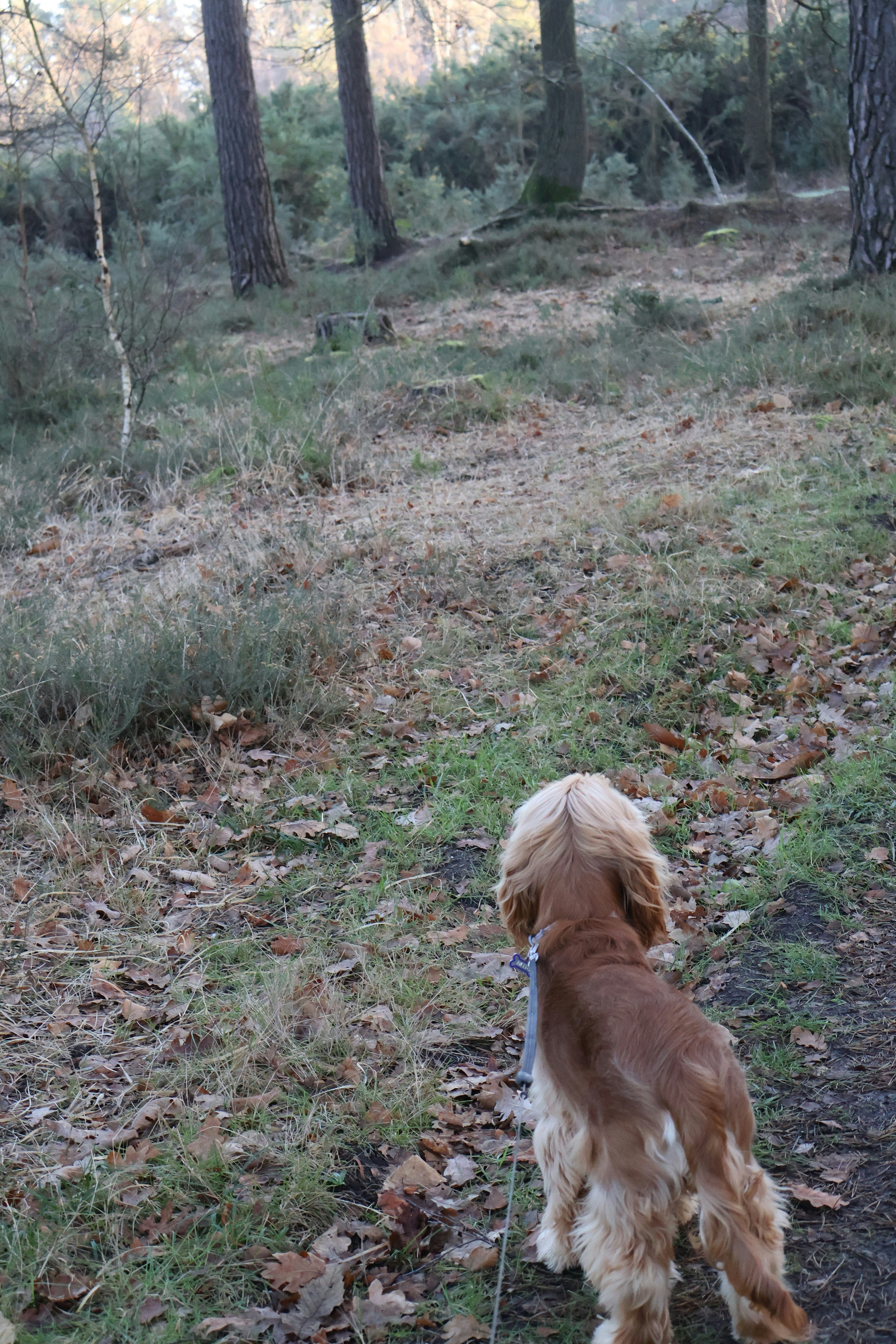 Photo by tanyabarrow