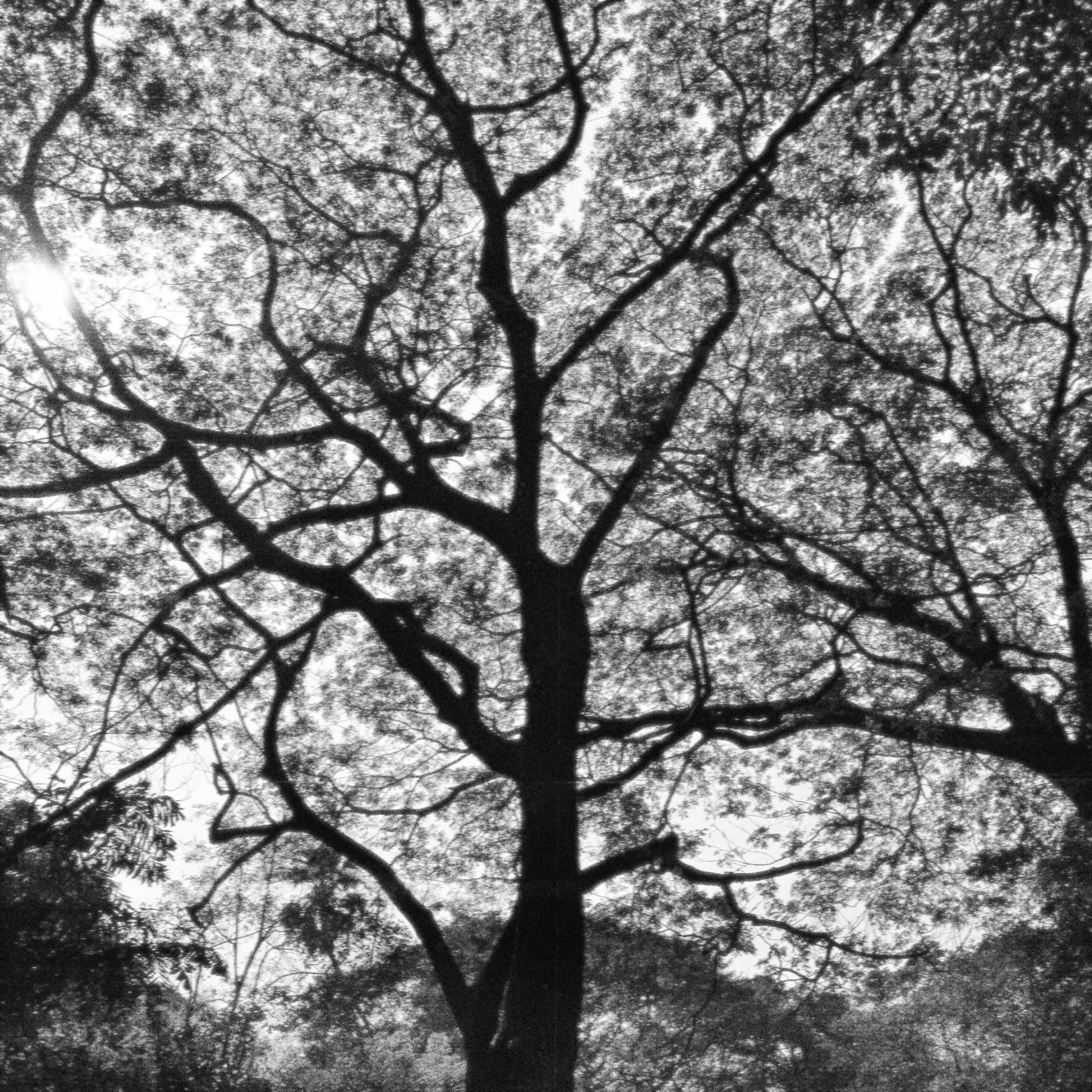 Photo by kidrahandco