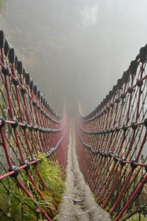 A rope bridge disappearing into thick fog.
