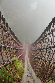 A rope bridge disappearing into thick fog.