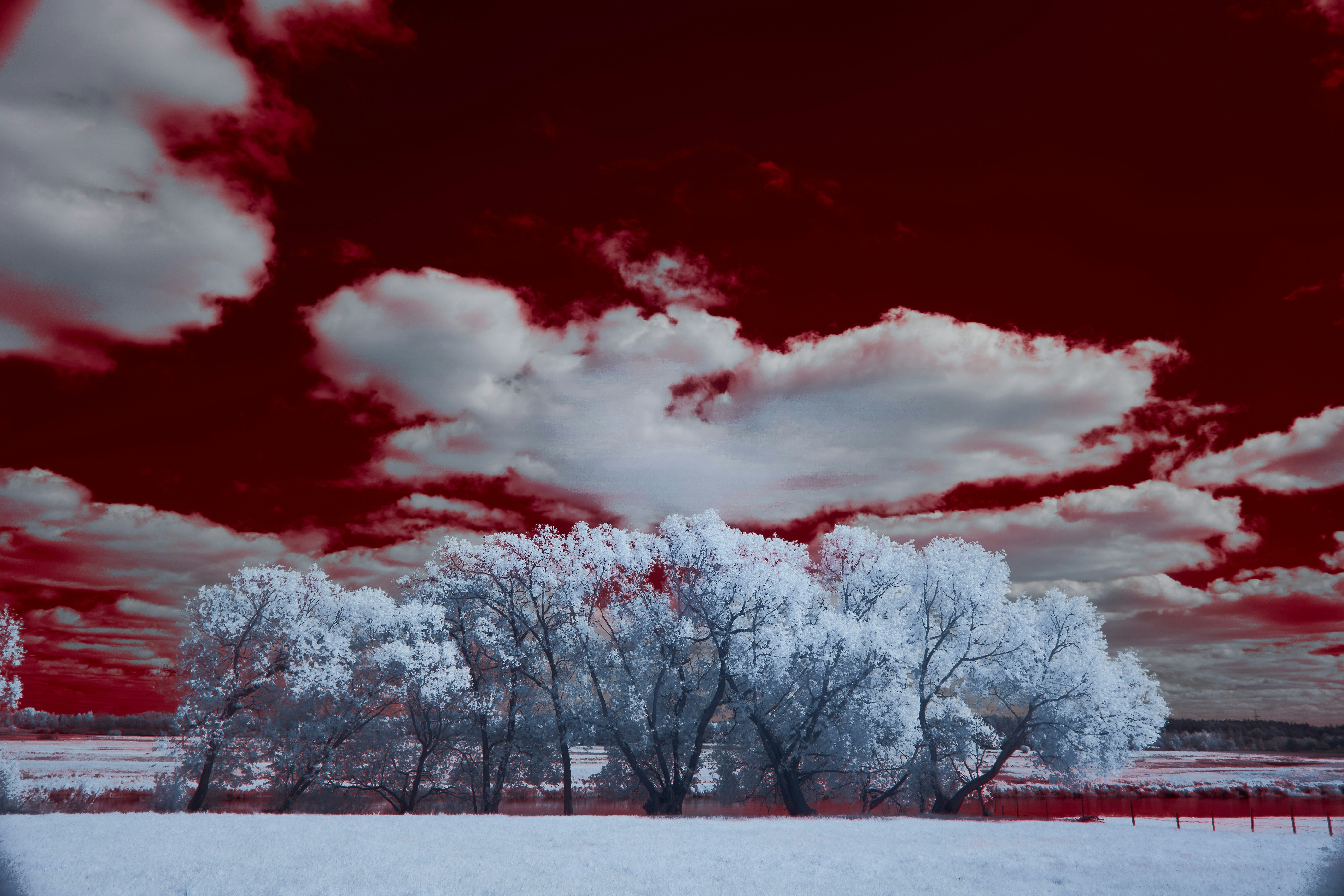 Photo by wolfgang_hasselmann