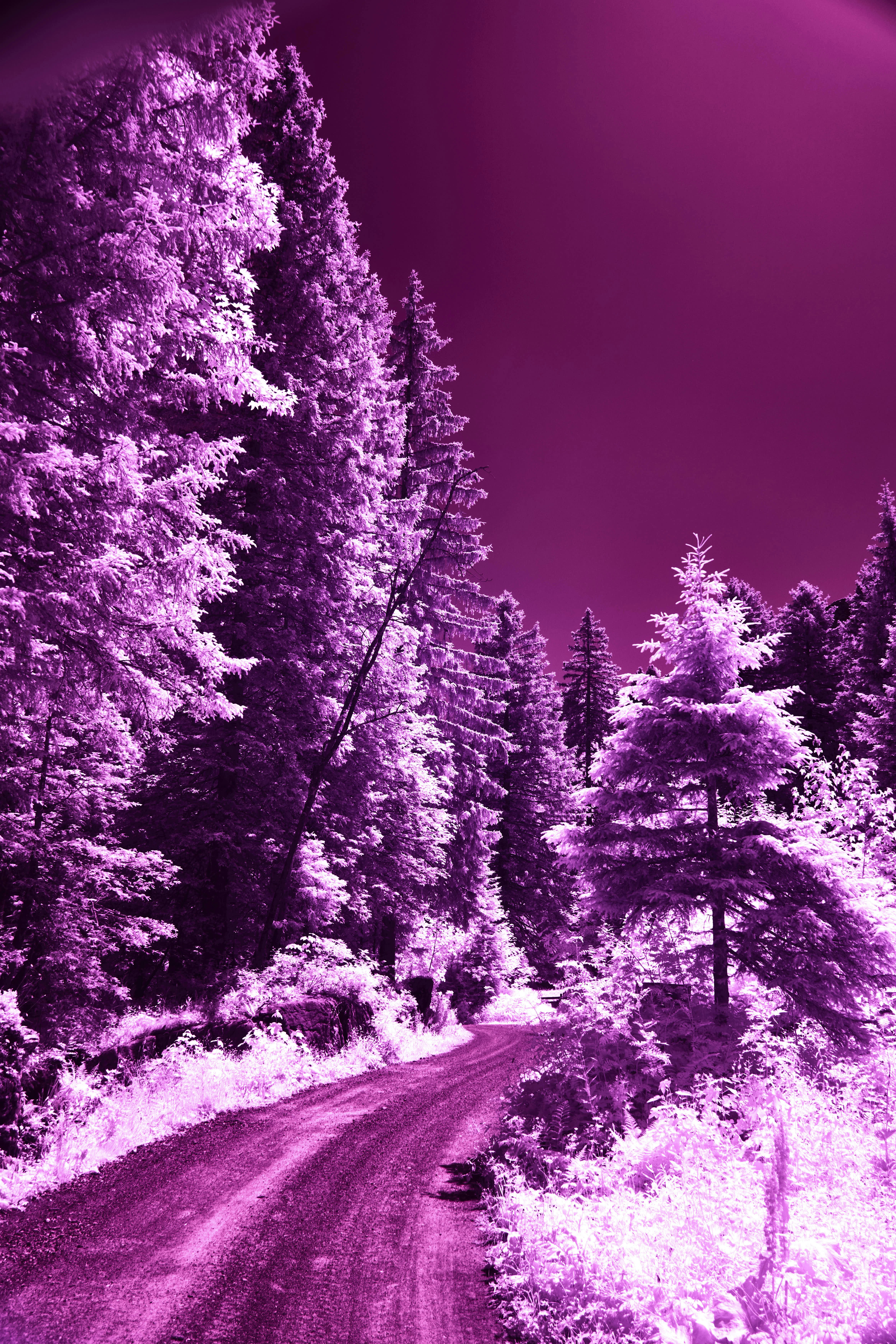 Photo by wolfgang_hasselmann