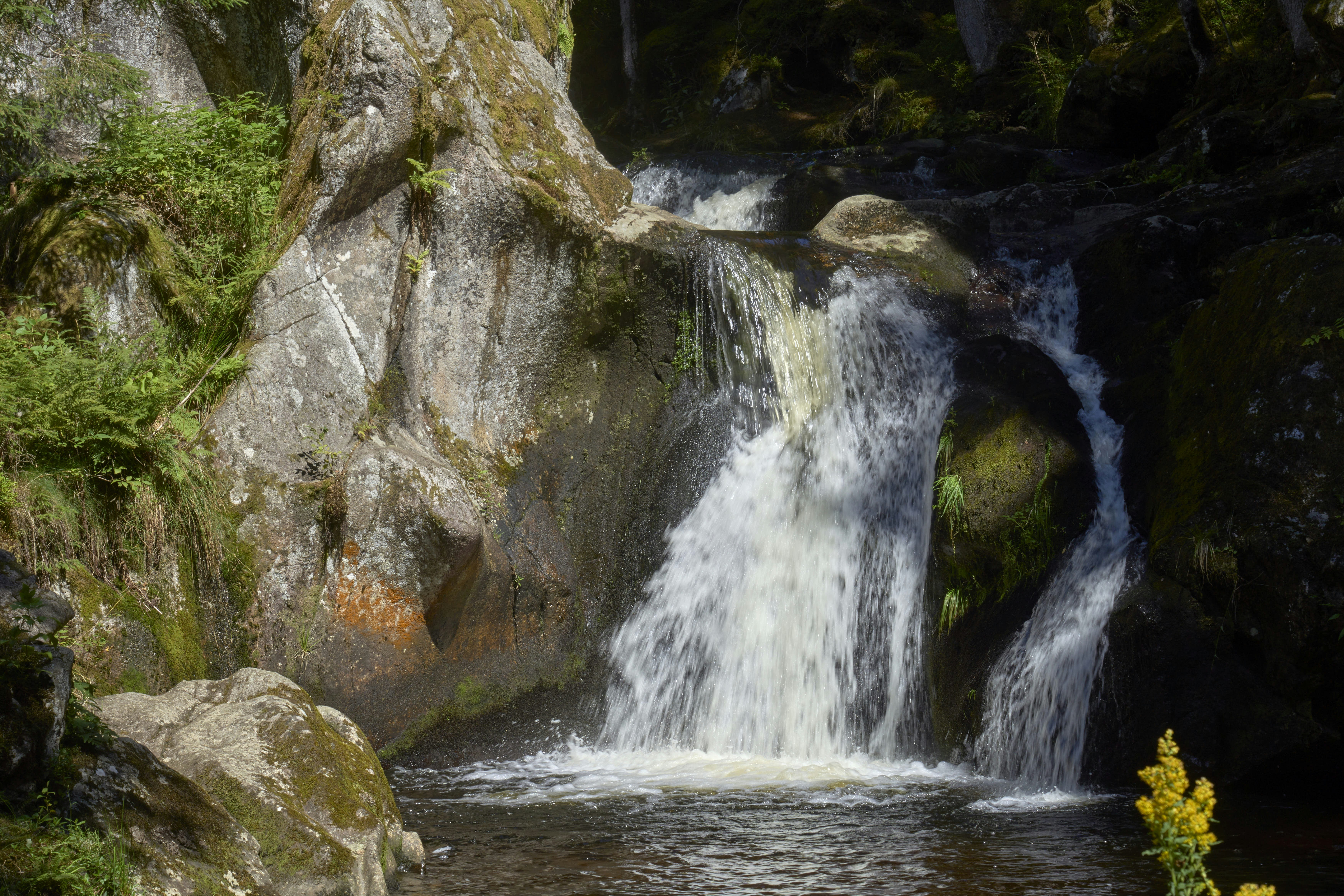 Photo by wolfgang_hasselmann