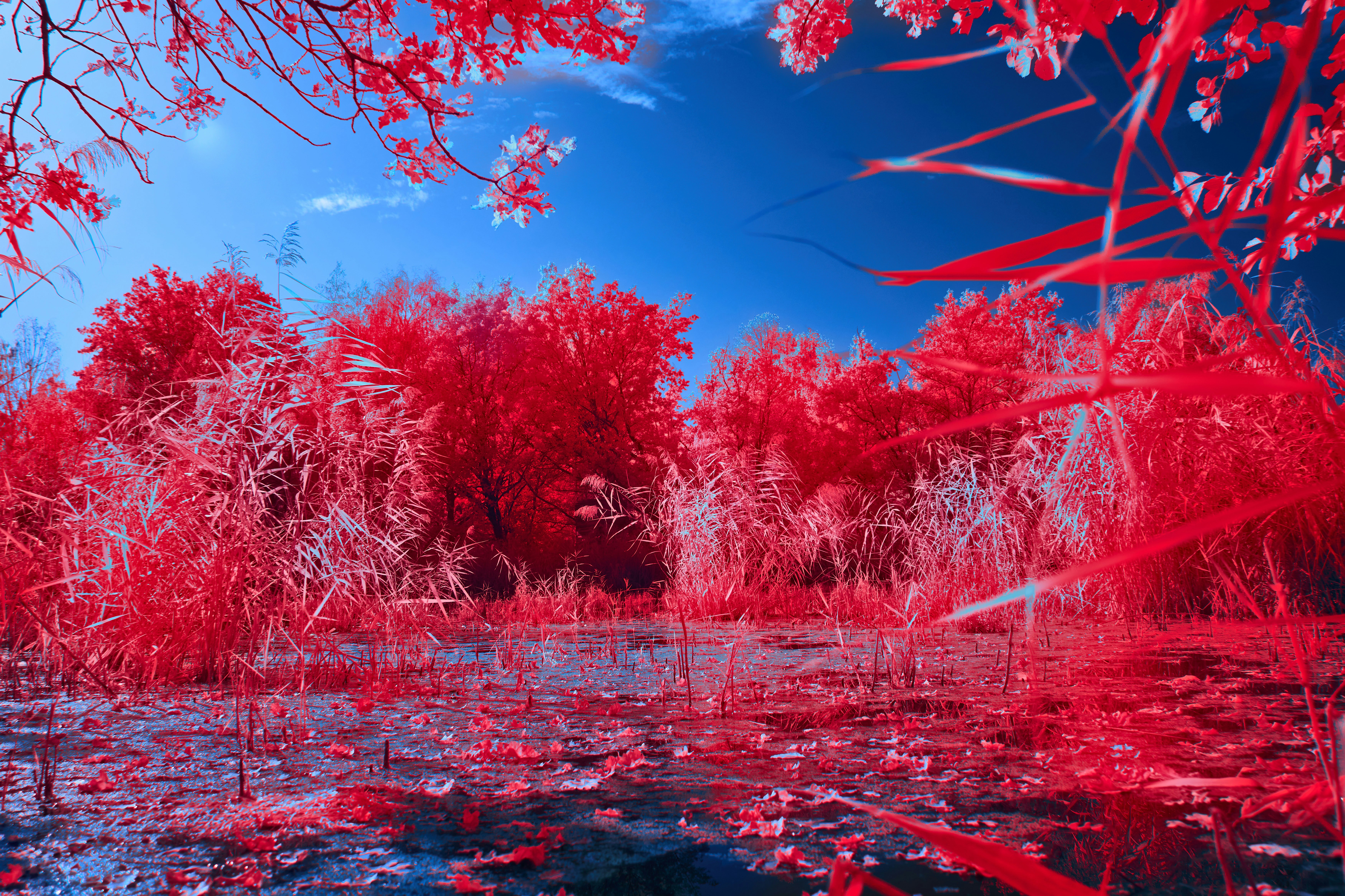 Photo by wolfgang_hasselmann