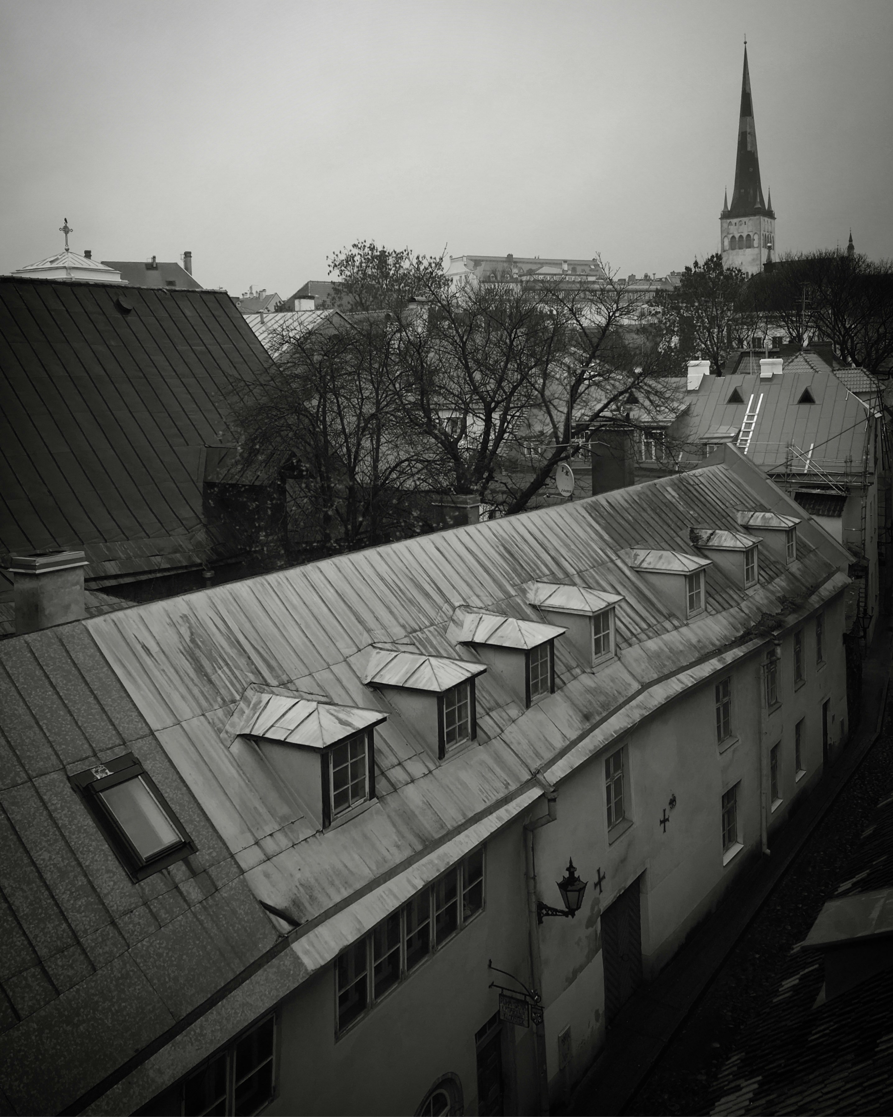 Photo by sergei_gussev