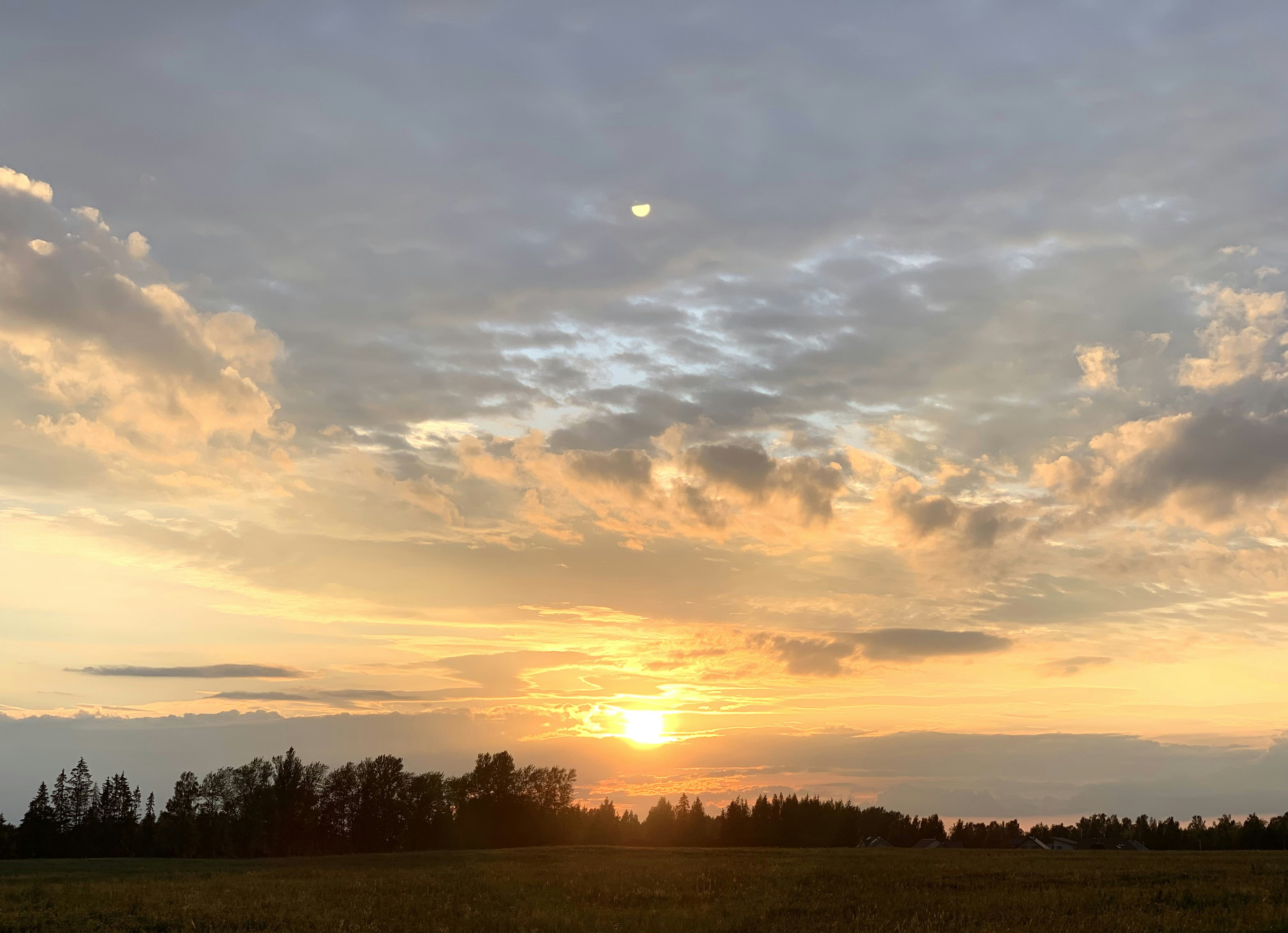 Photo by sergei_gussev