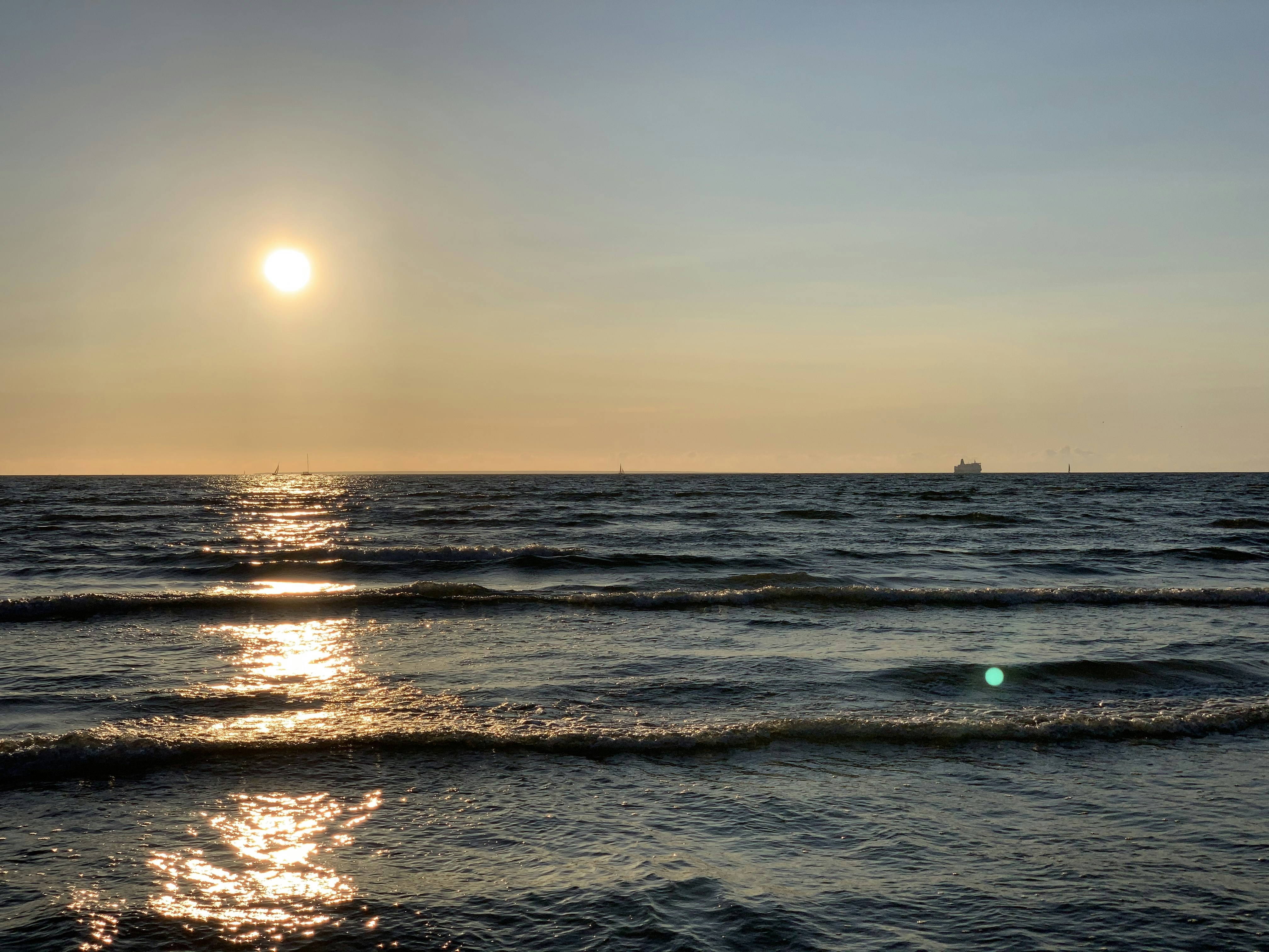 Photo by sergei_gussev