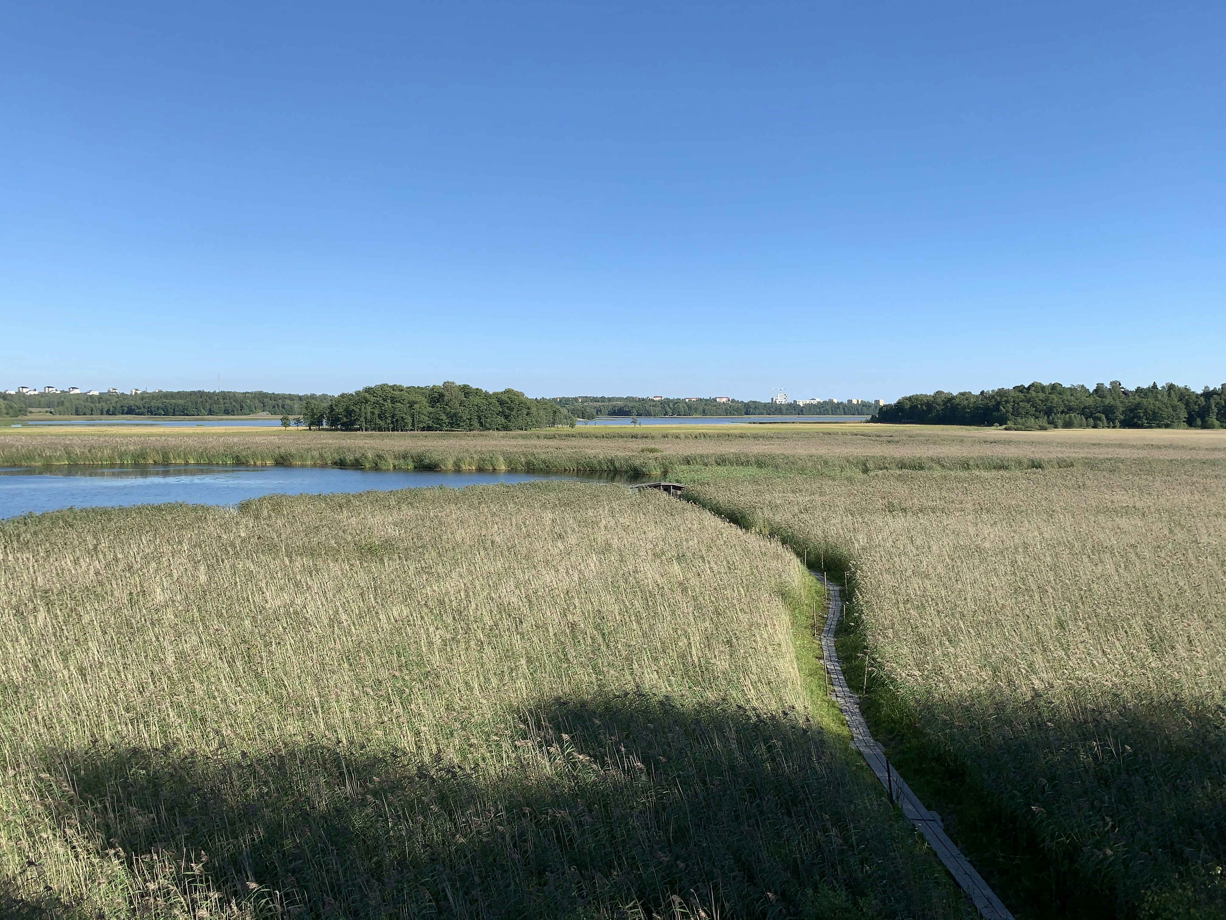 Photo by sergei_gussev