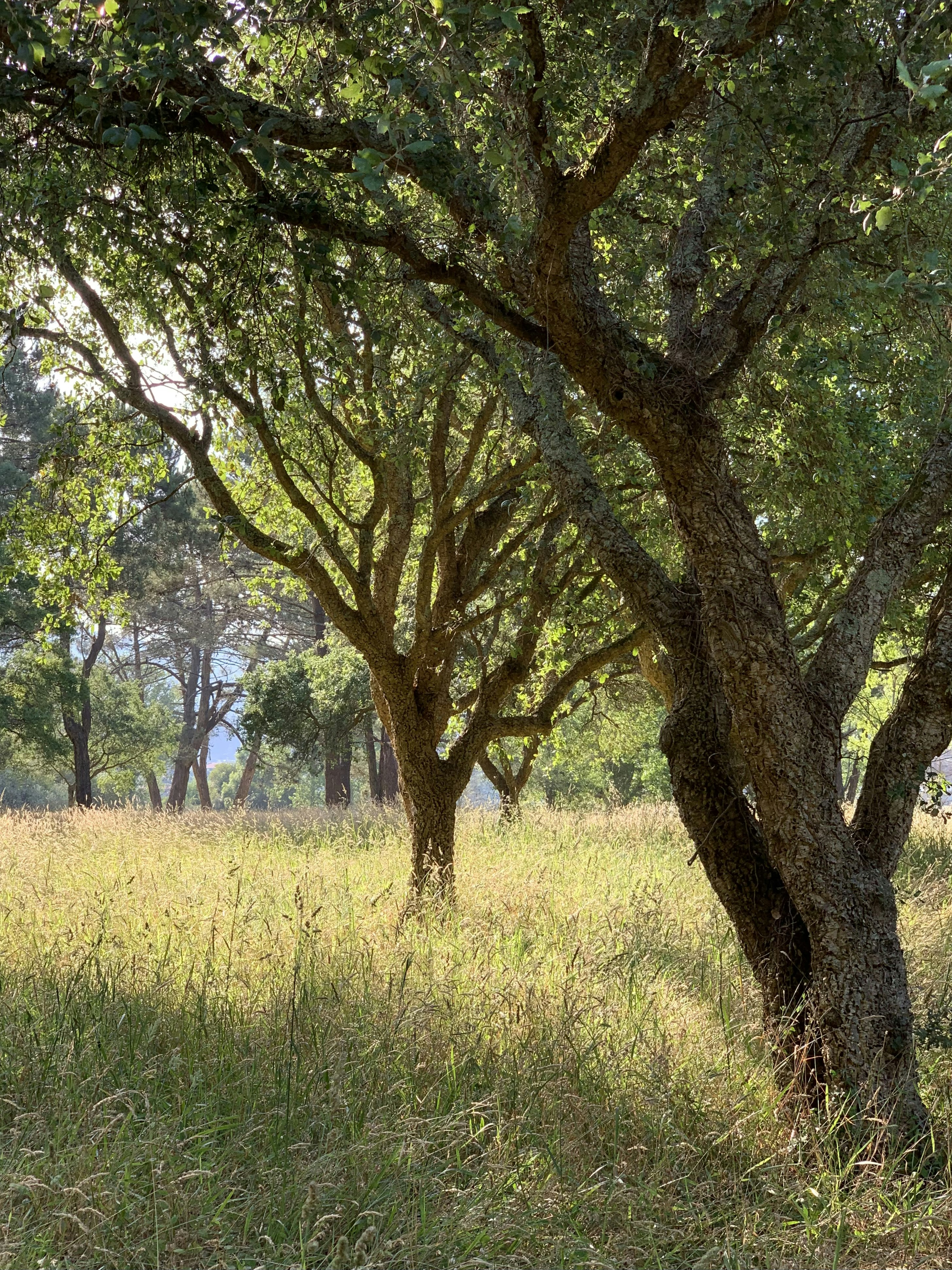 Photo by sergei_gussev