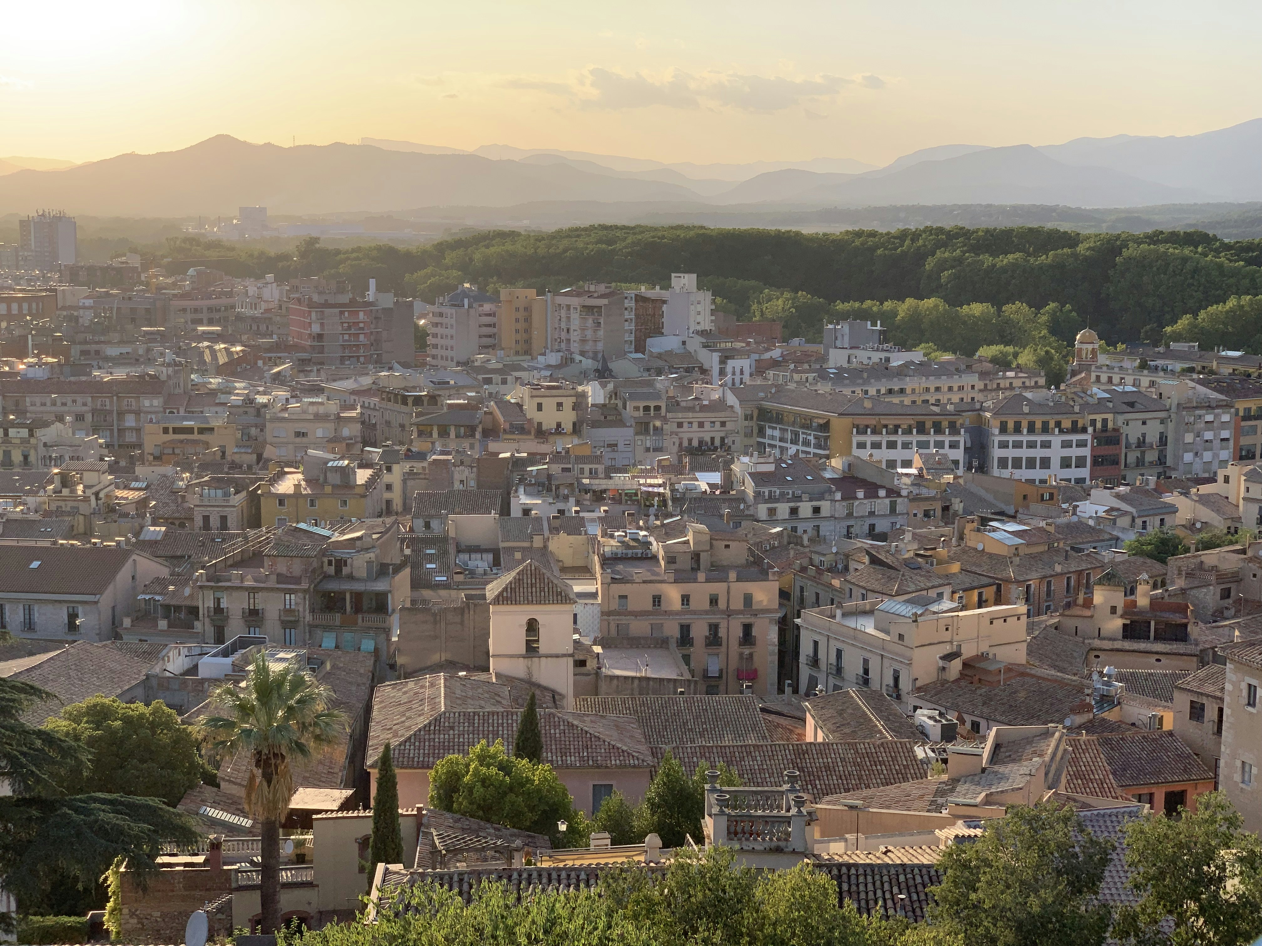 Photo by sergei_gussev