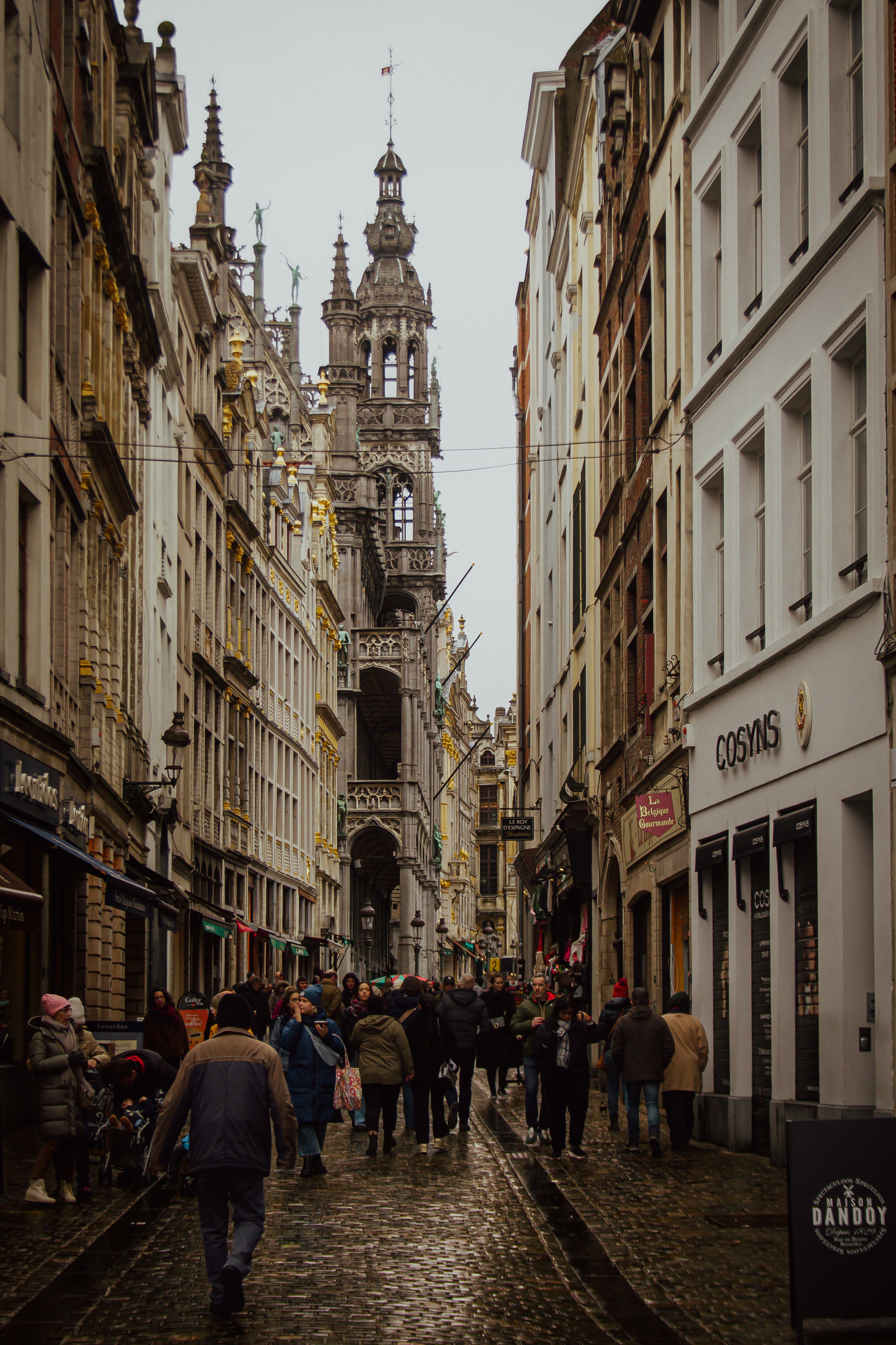 Photo by alcibiadedespoissons