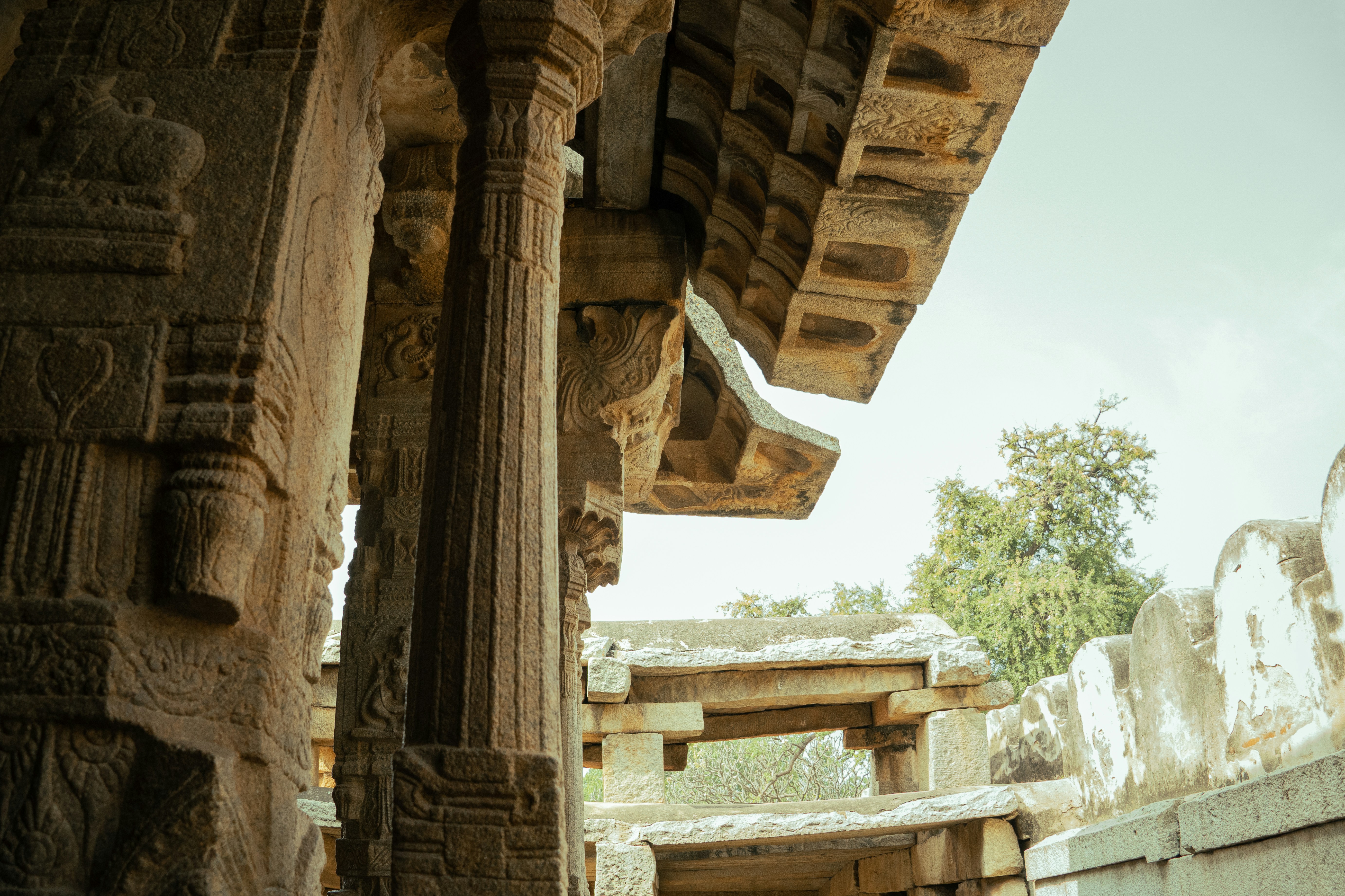 Photo by suhashanjar