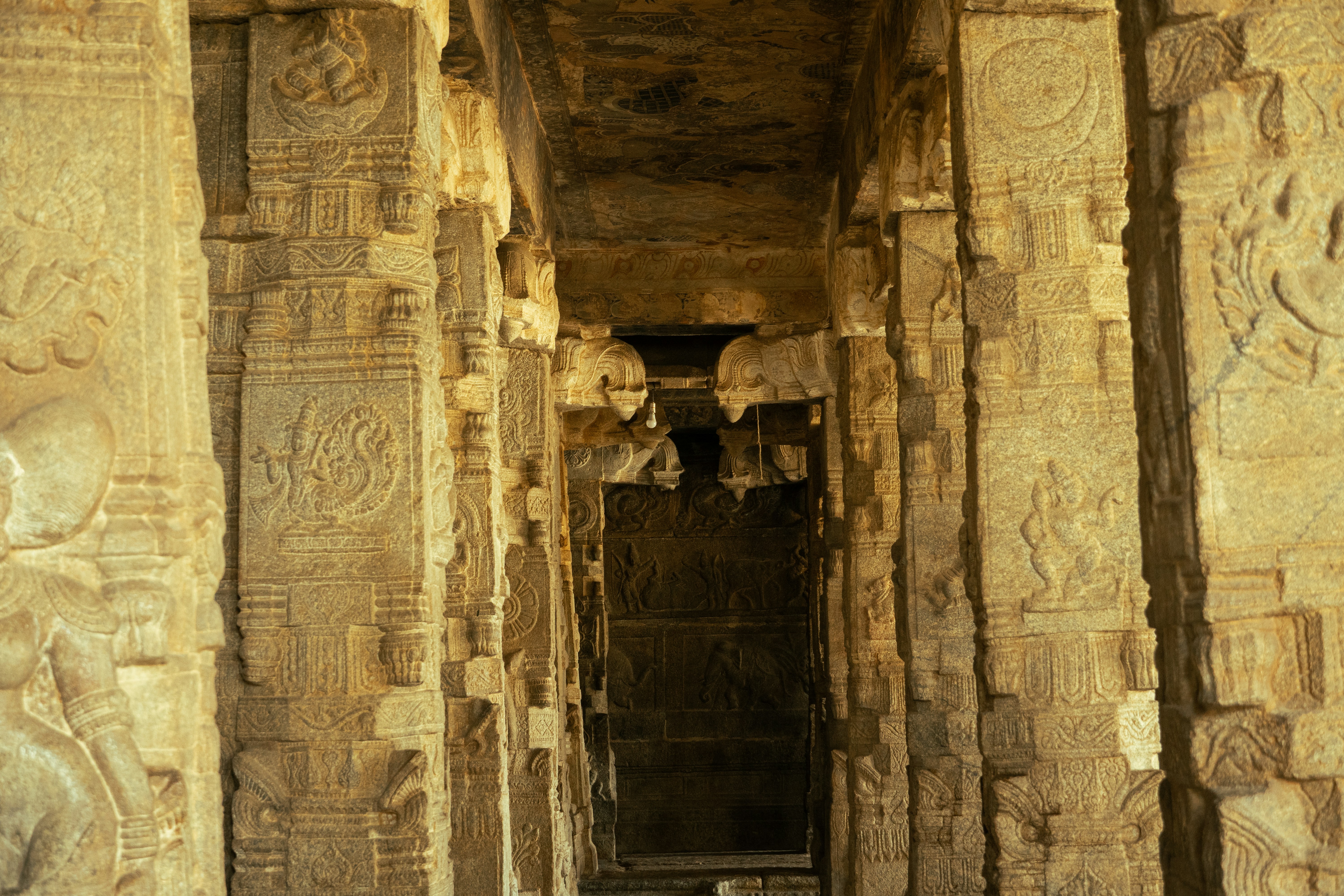 Photo by suhashanjar