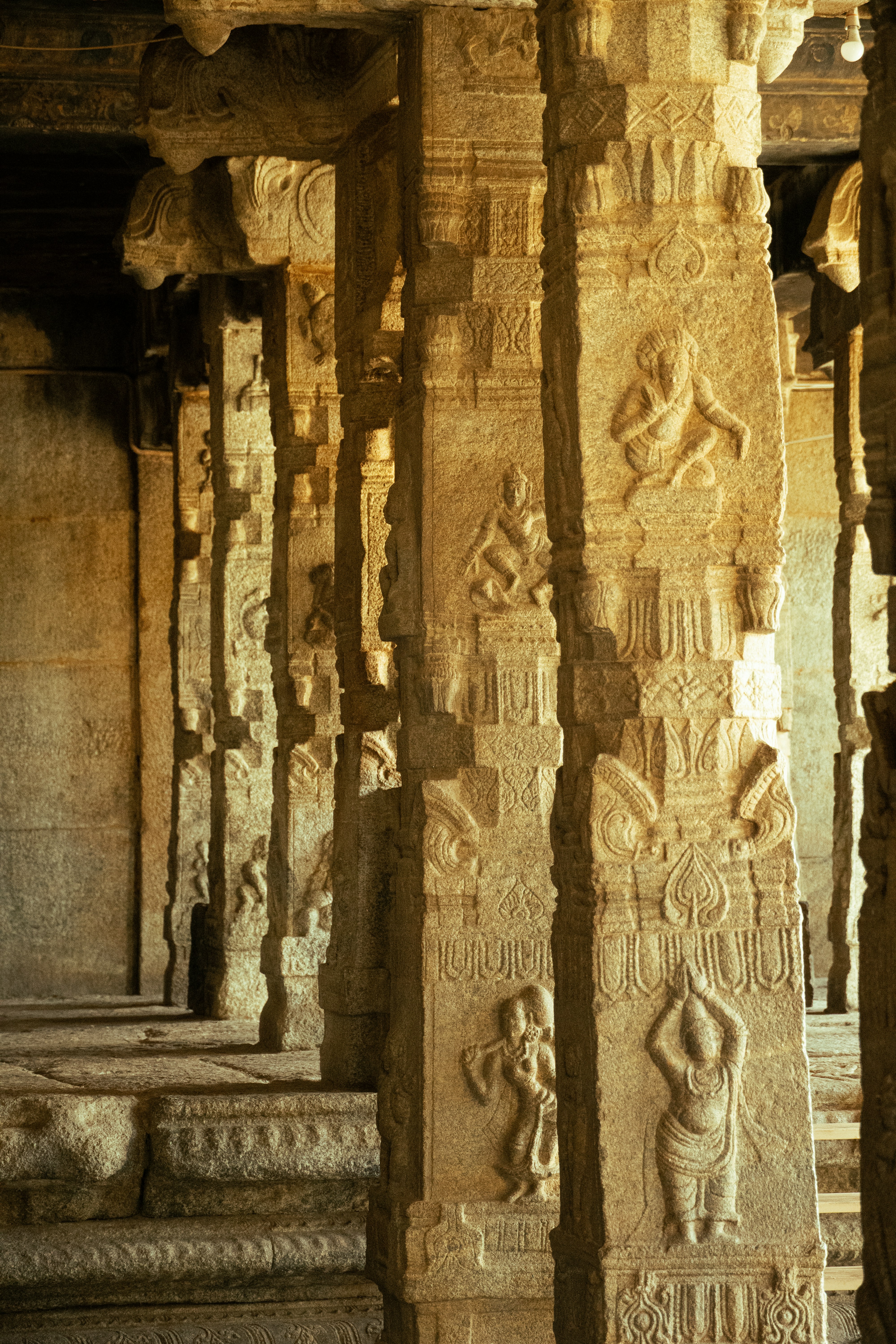 Photo by suhashanjar