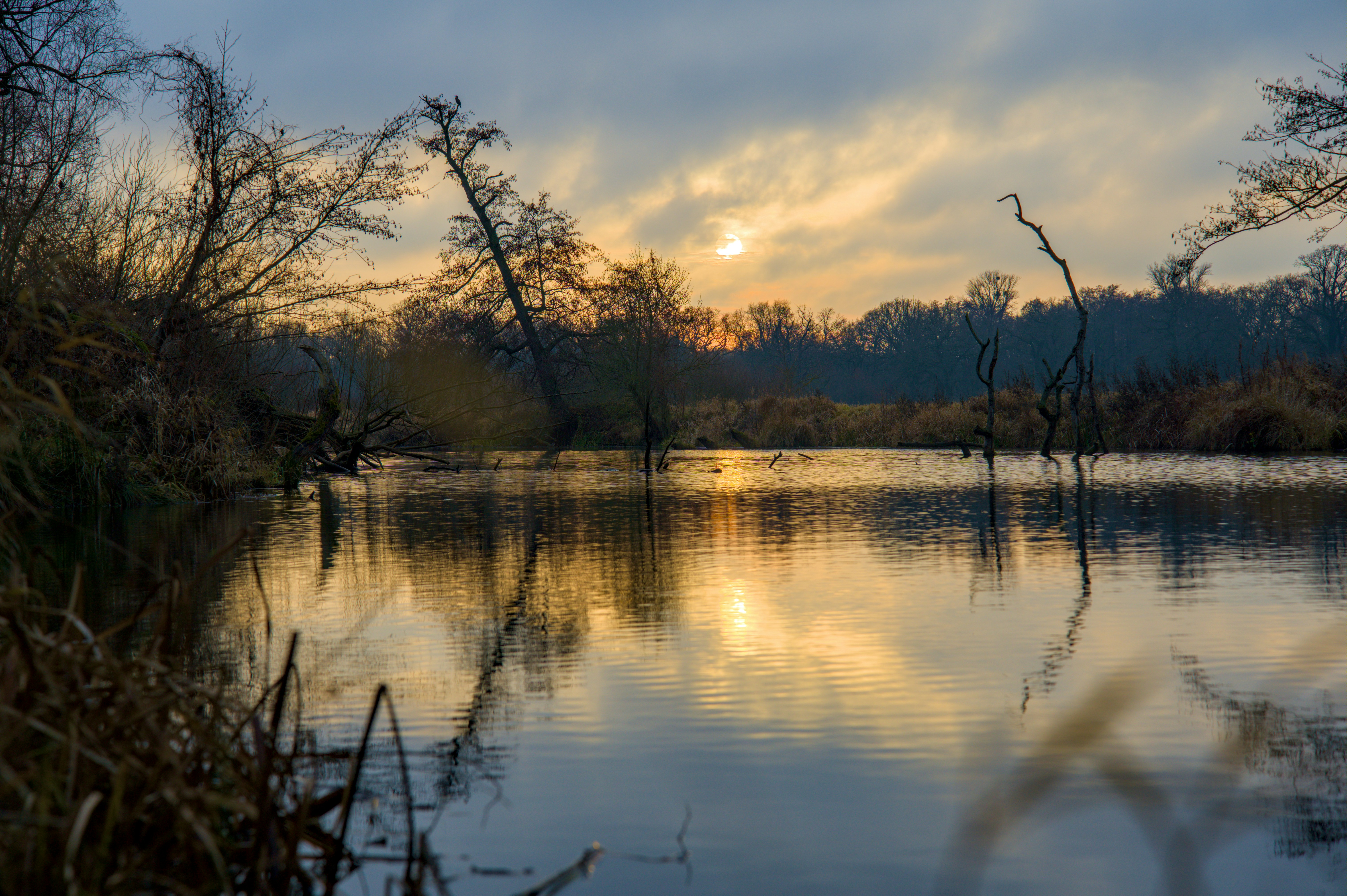 Photo by valentin_karisch