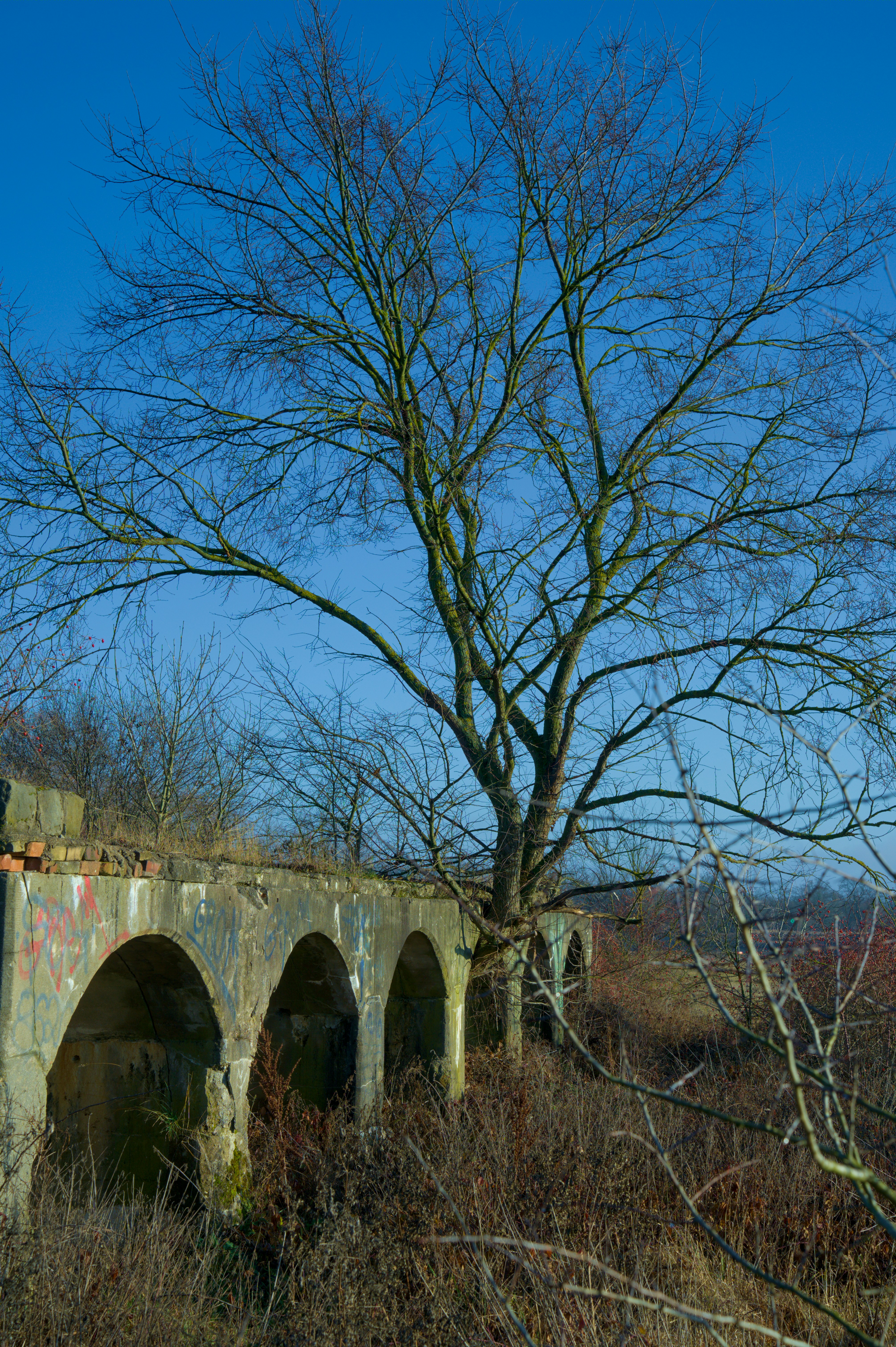 Photo by valentin_karisch