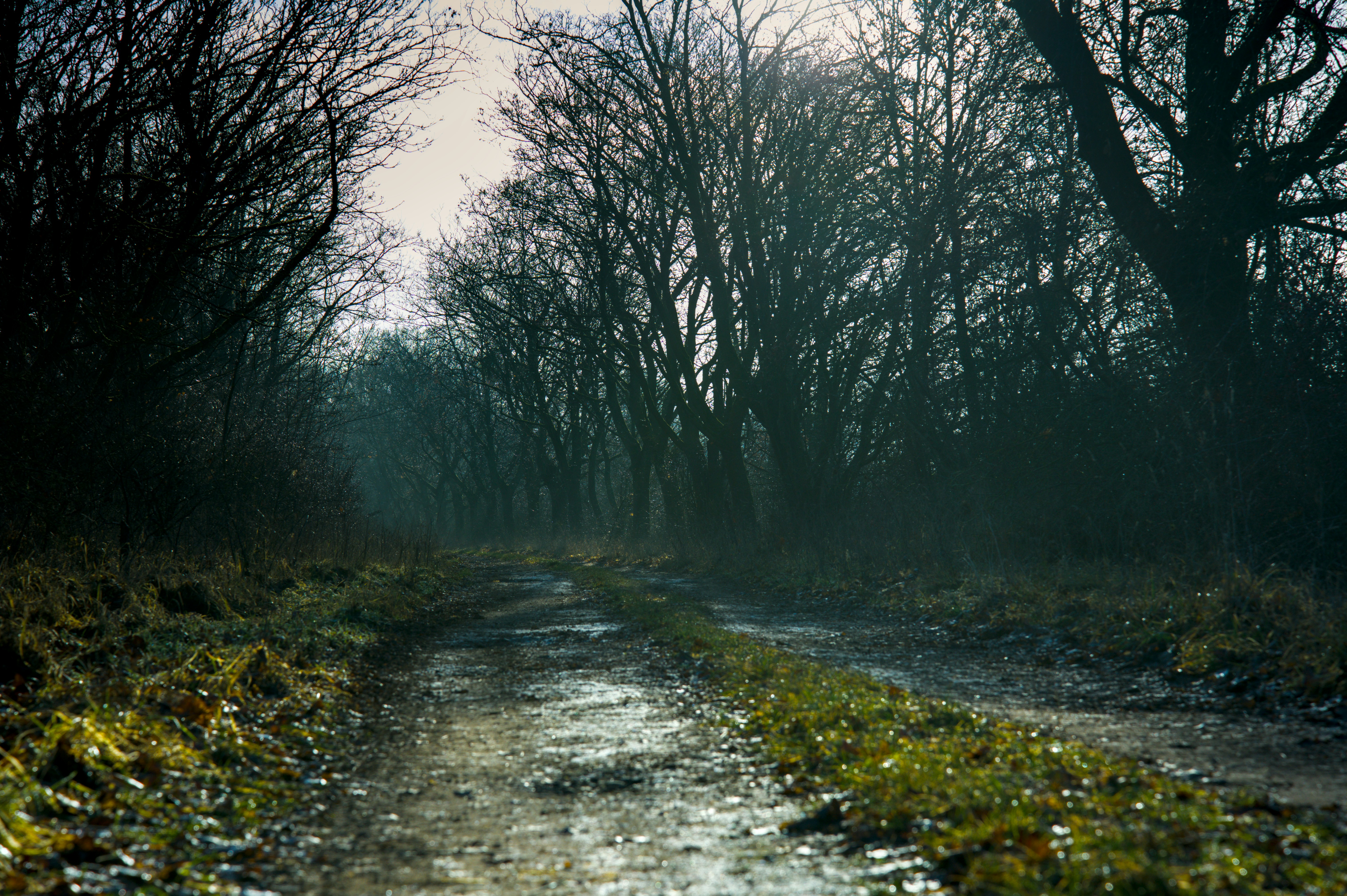 Photo by valentin_karisch