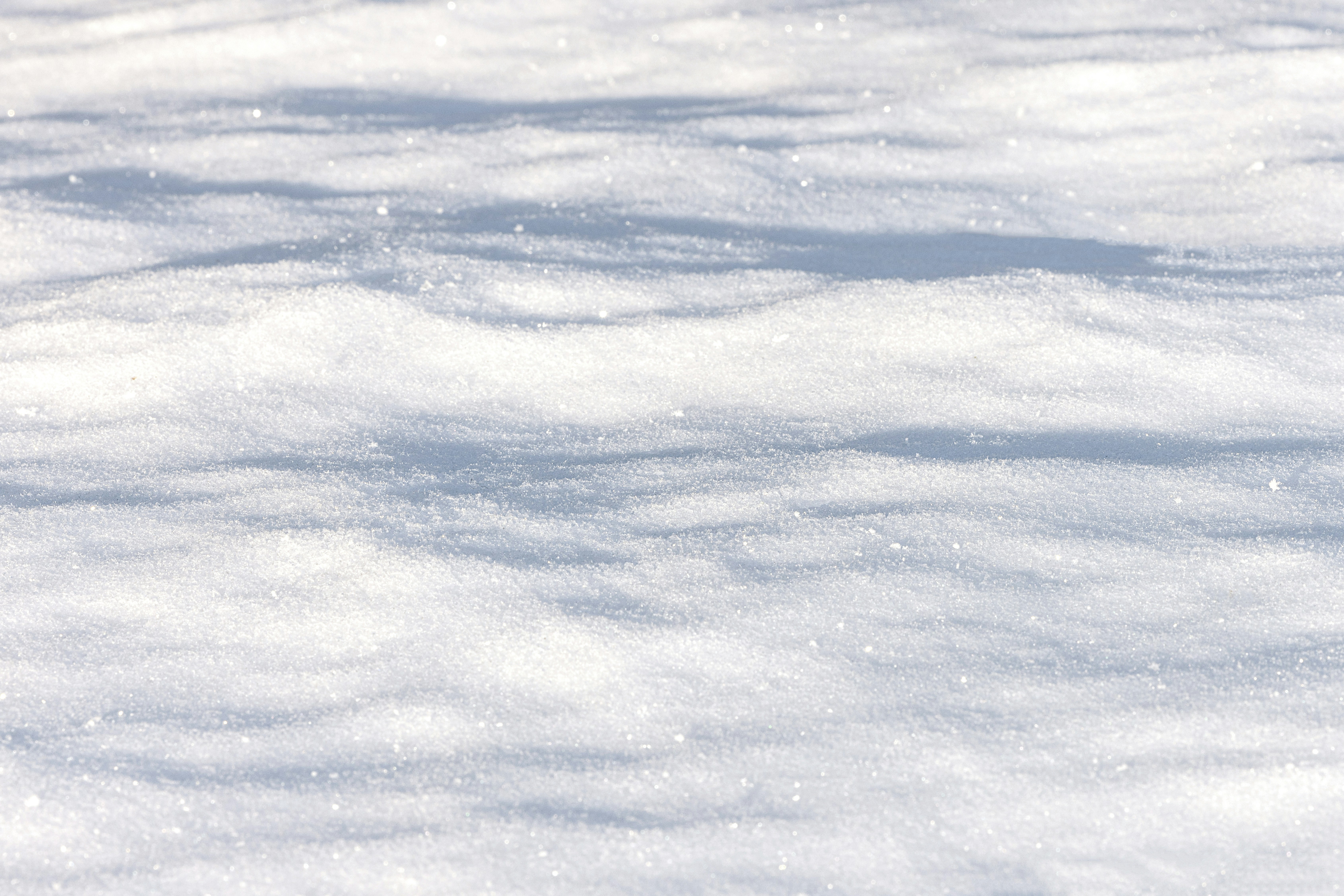 Photo by nataliekinnear