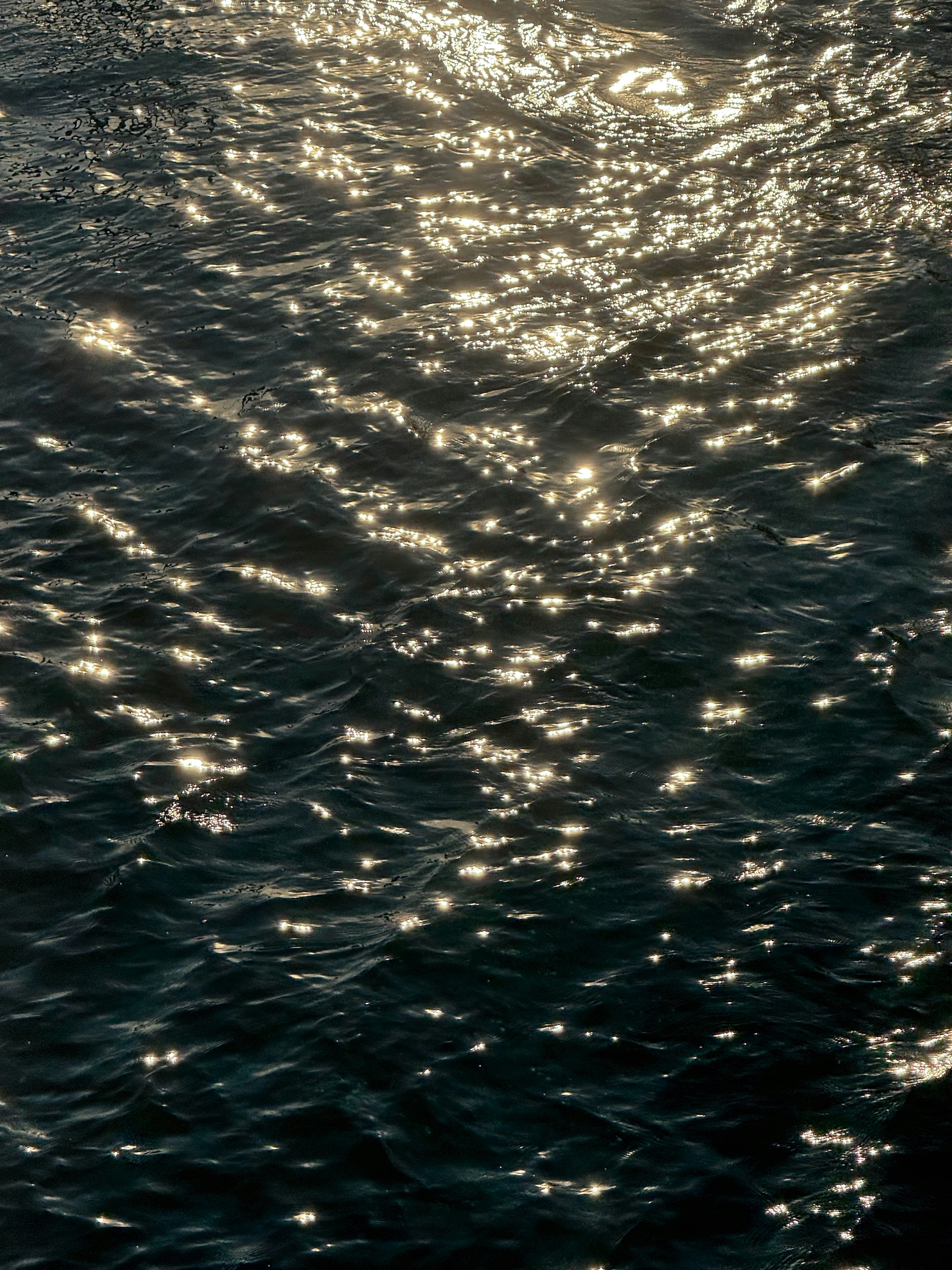Photo by azlflwr