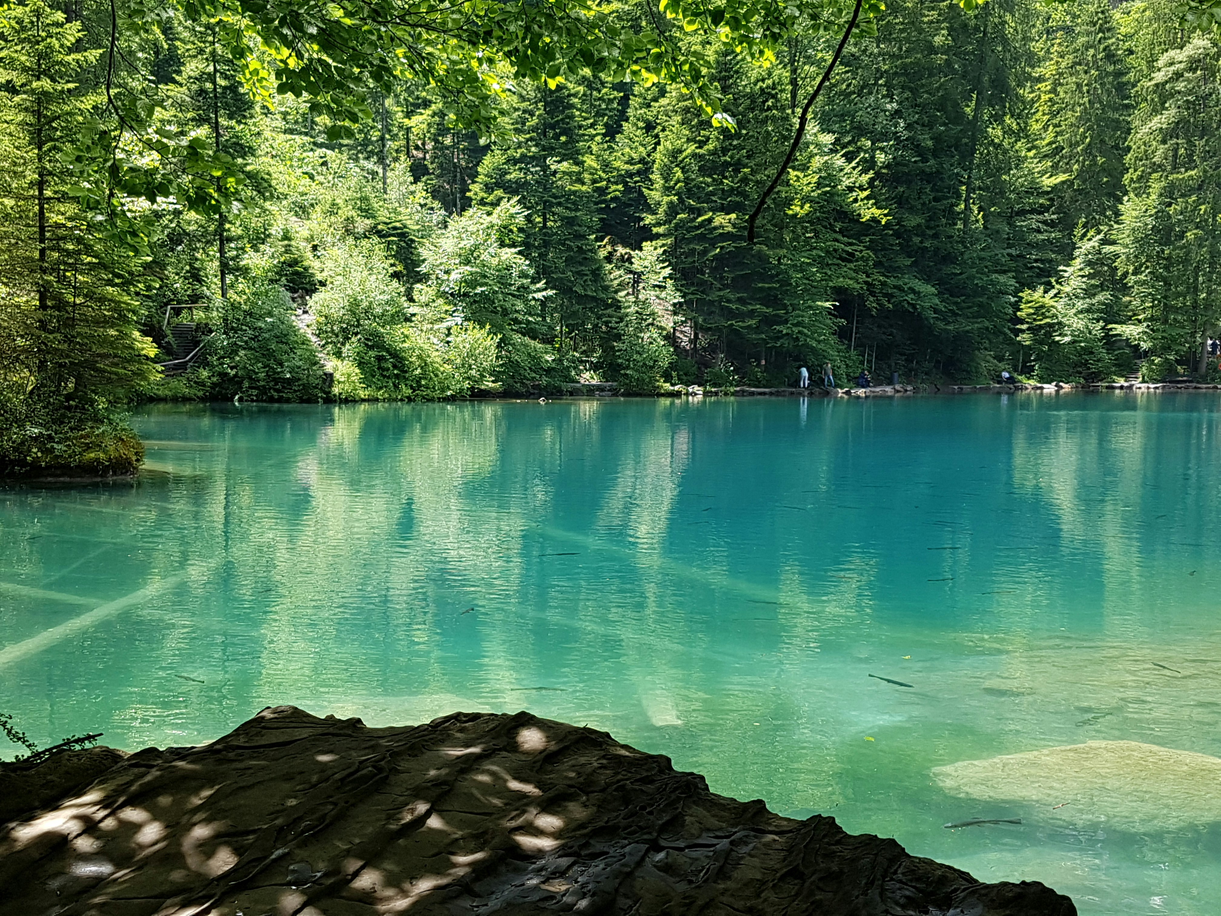 Photo by madeleineammann