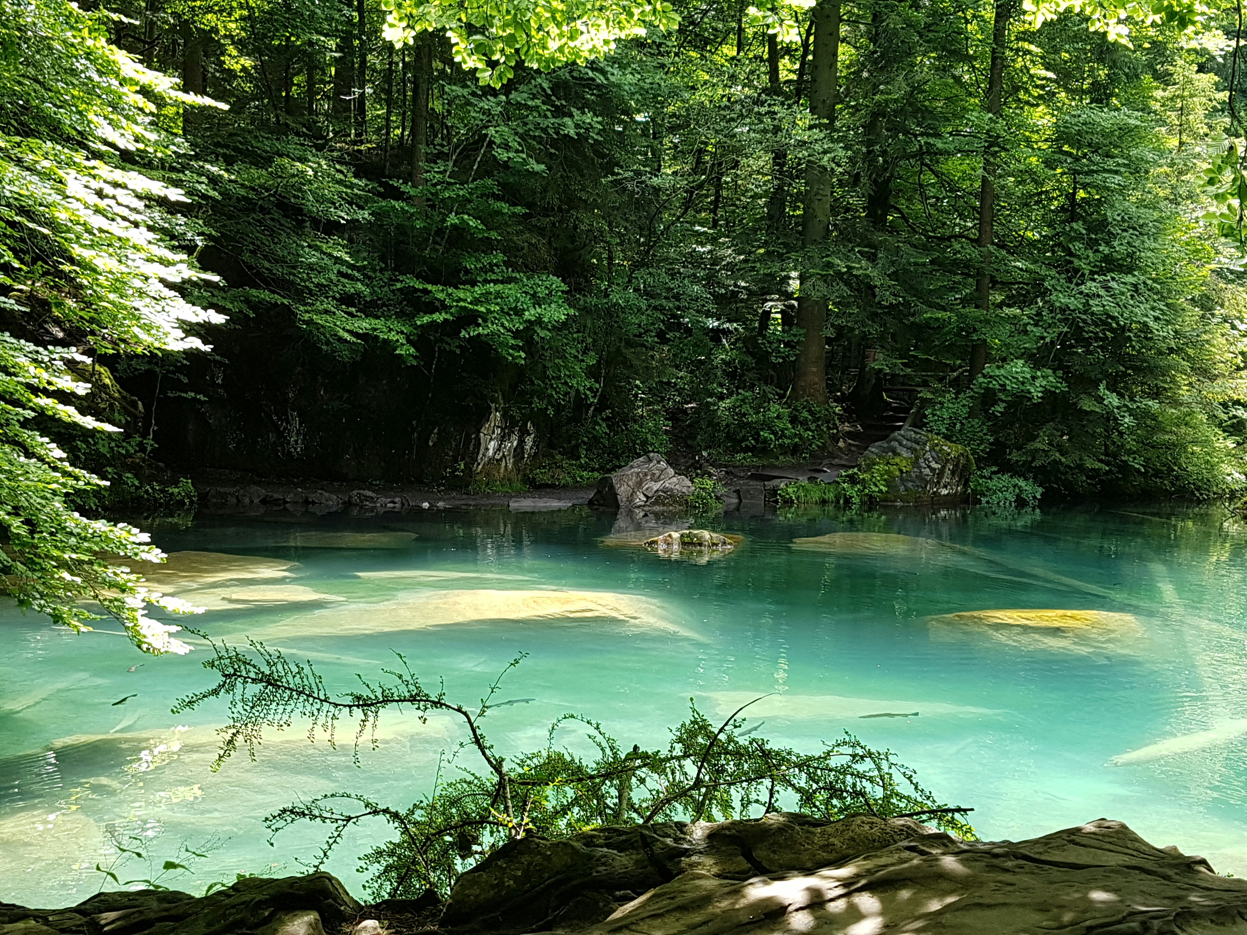 Photo by madeleineammann