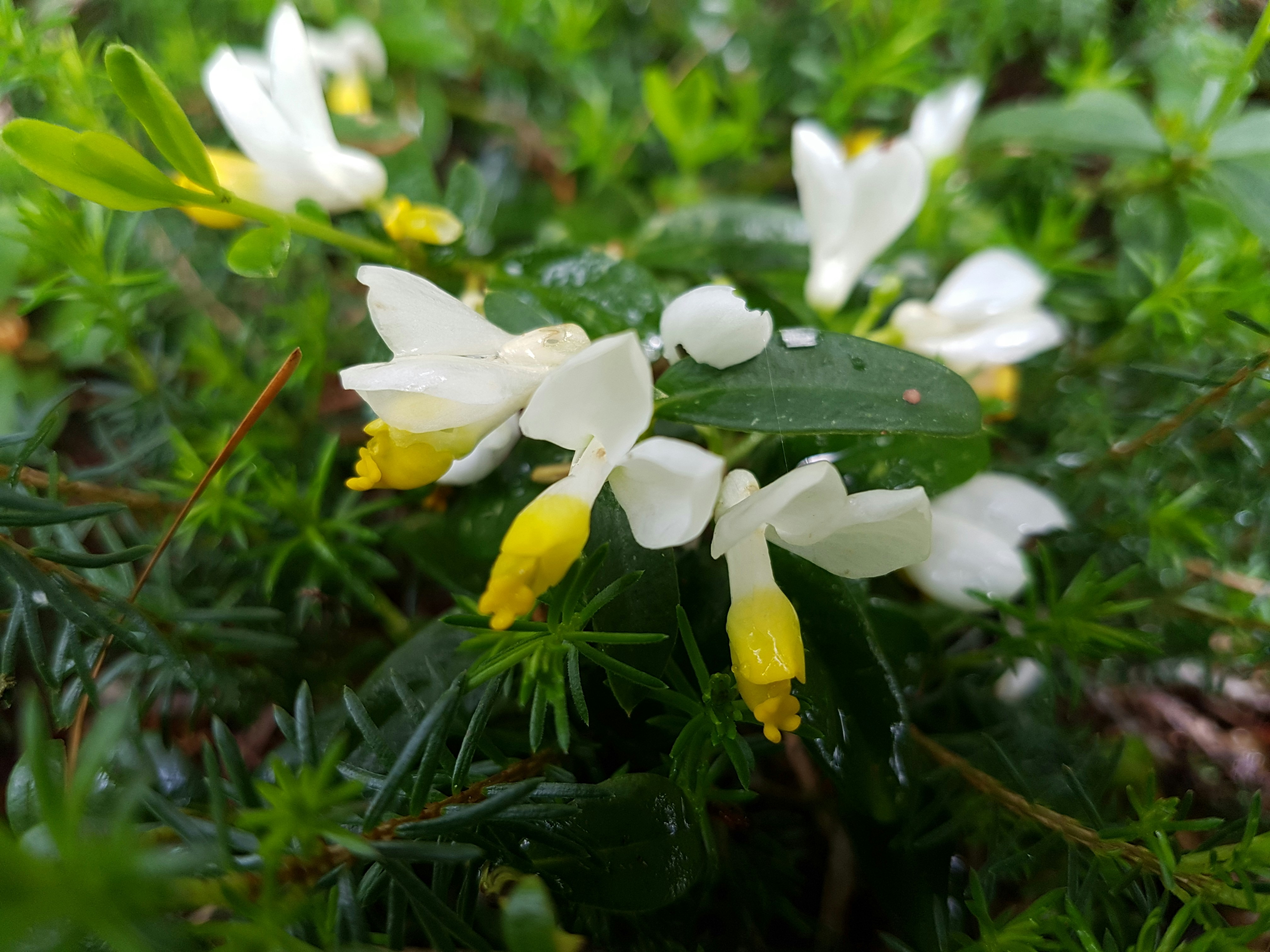 Photo by madeleineammann