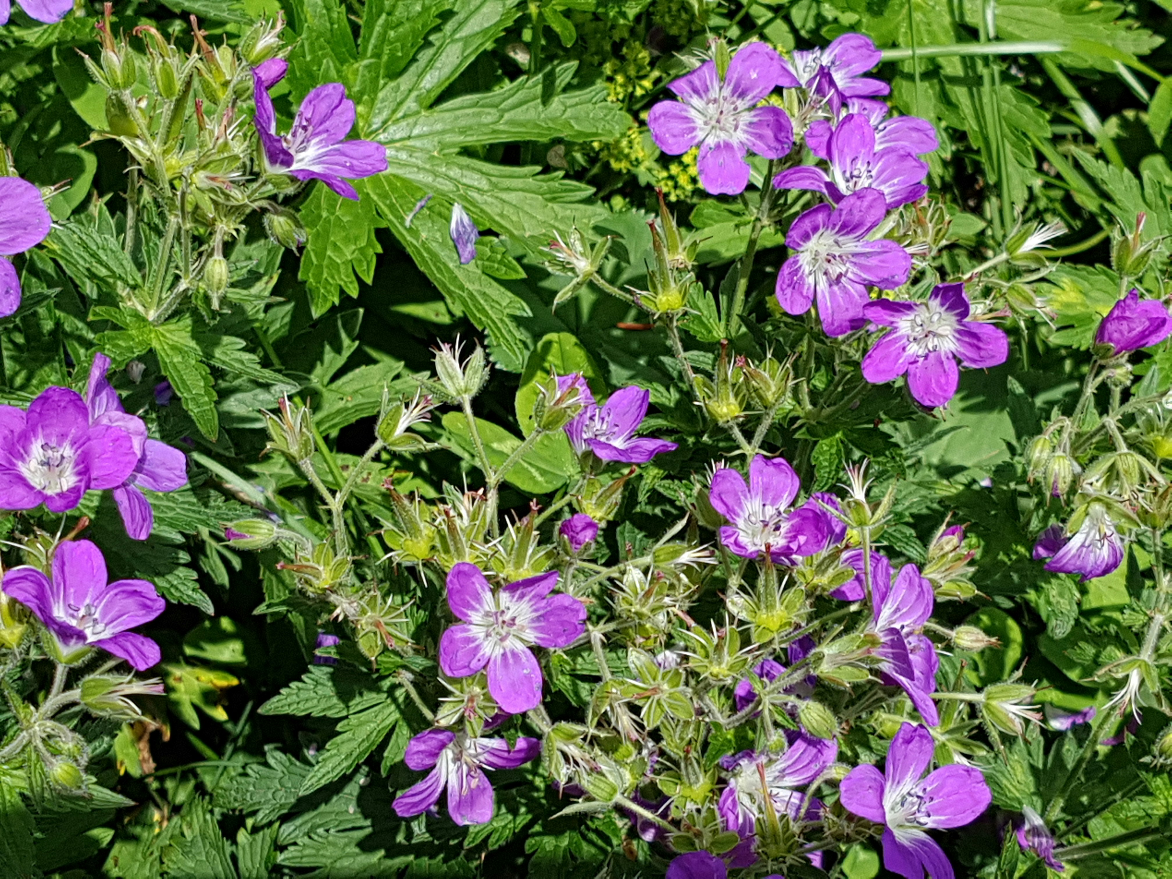 Photo by madeleineammann