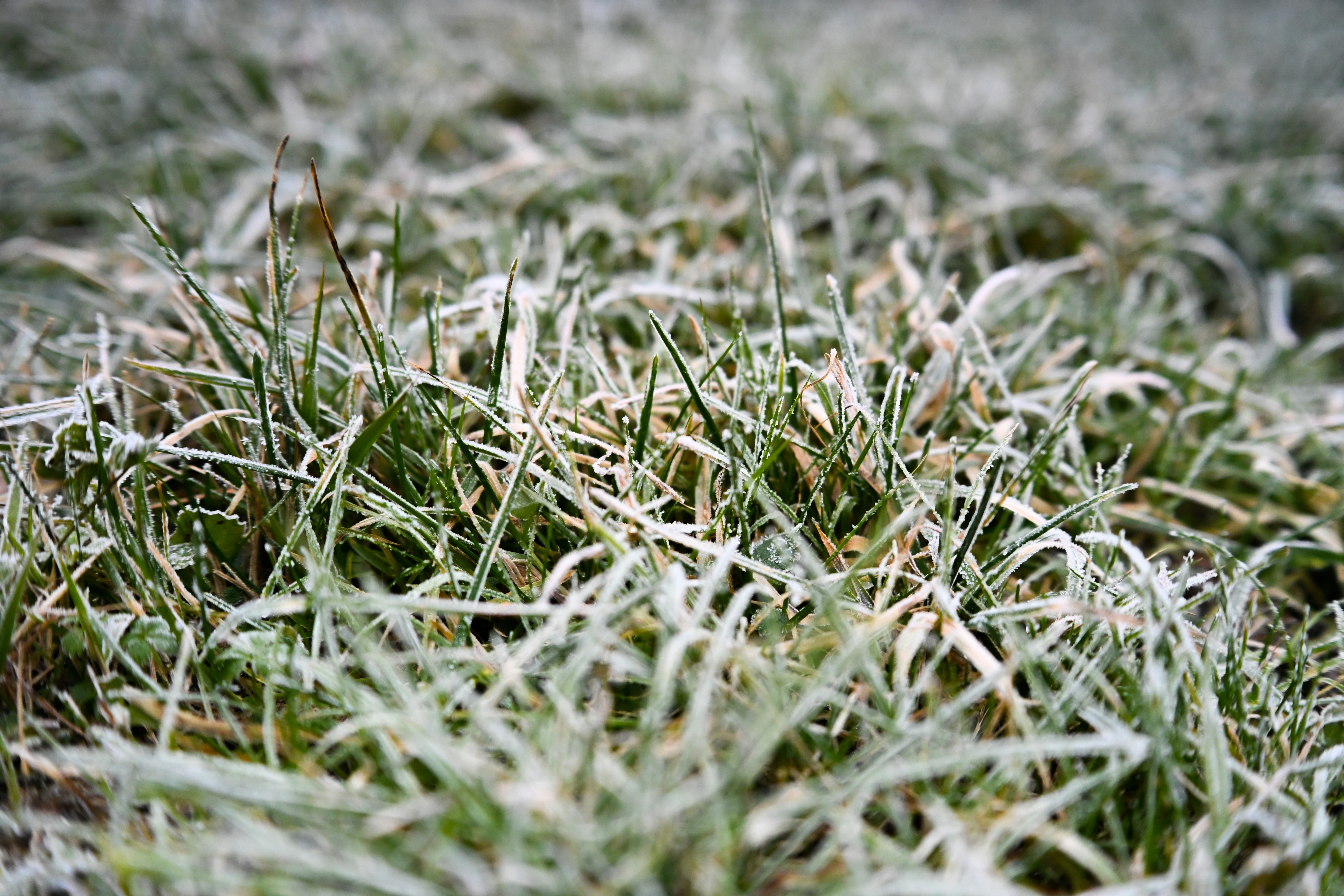 Photo by albertobigoni