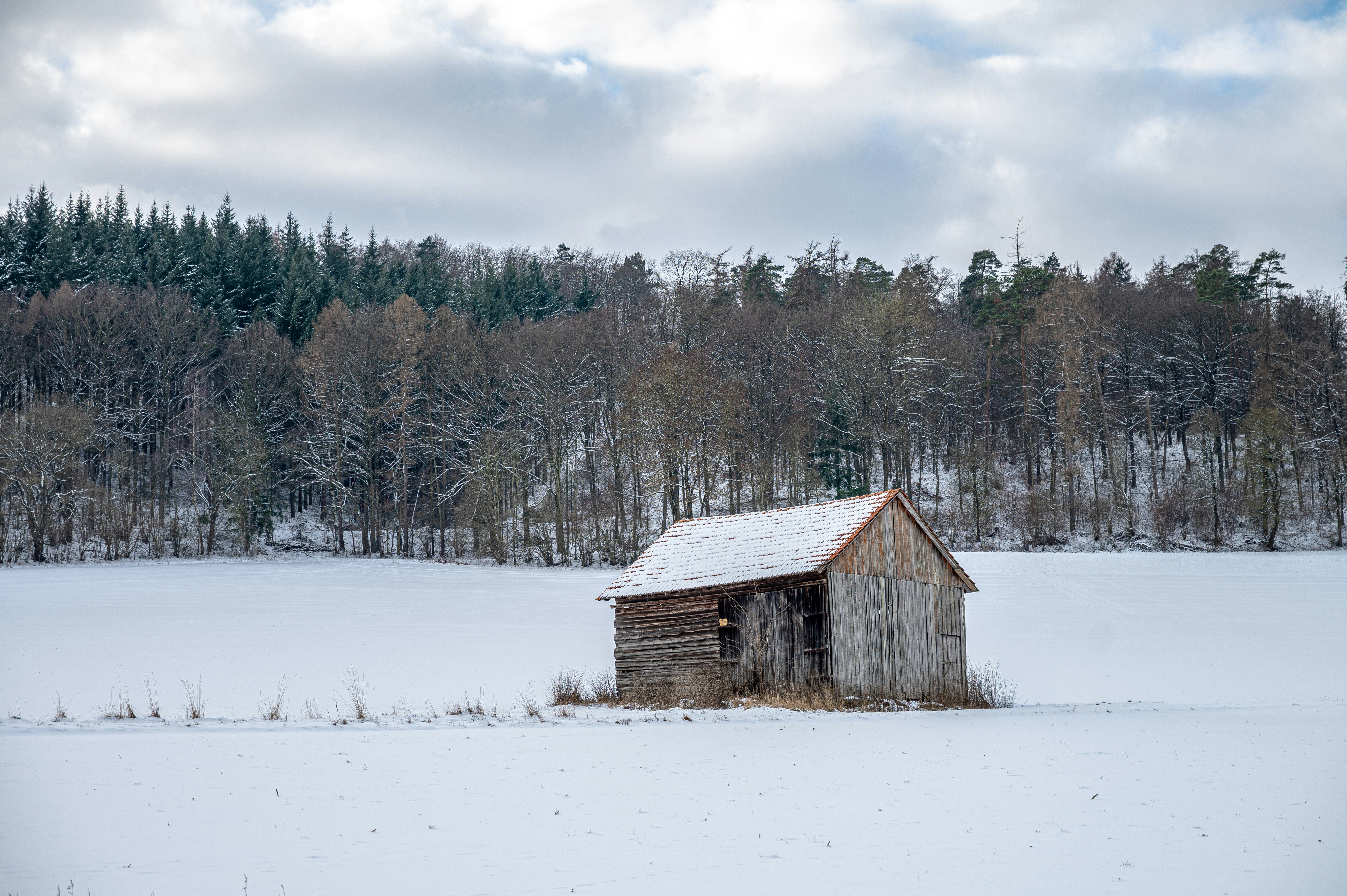 Photo by ad_sportfotograf