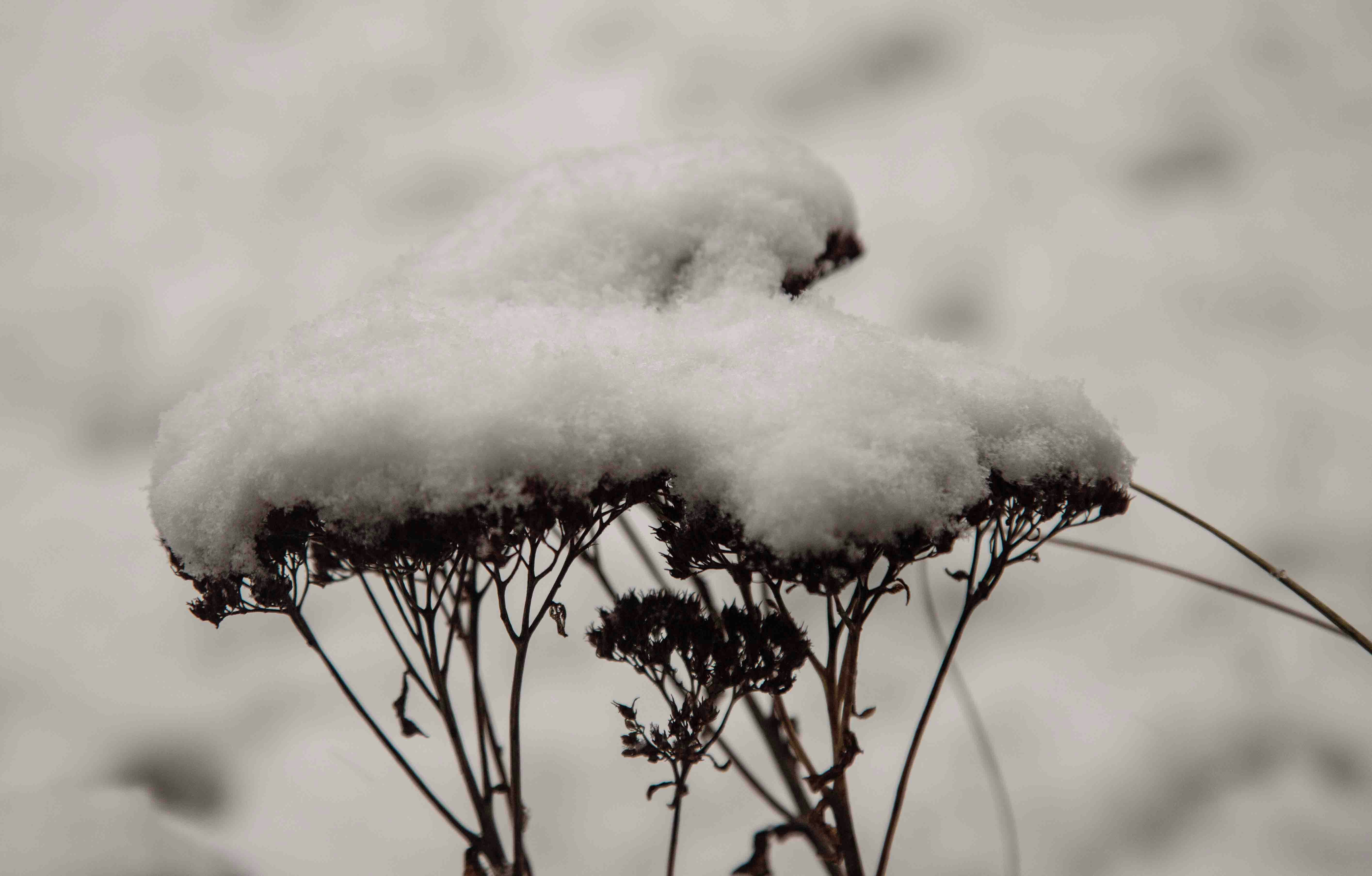 Photo by hdbernd