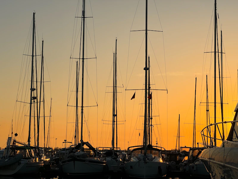 Panoramic sunrise view over the Chesapeake Bay
