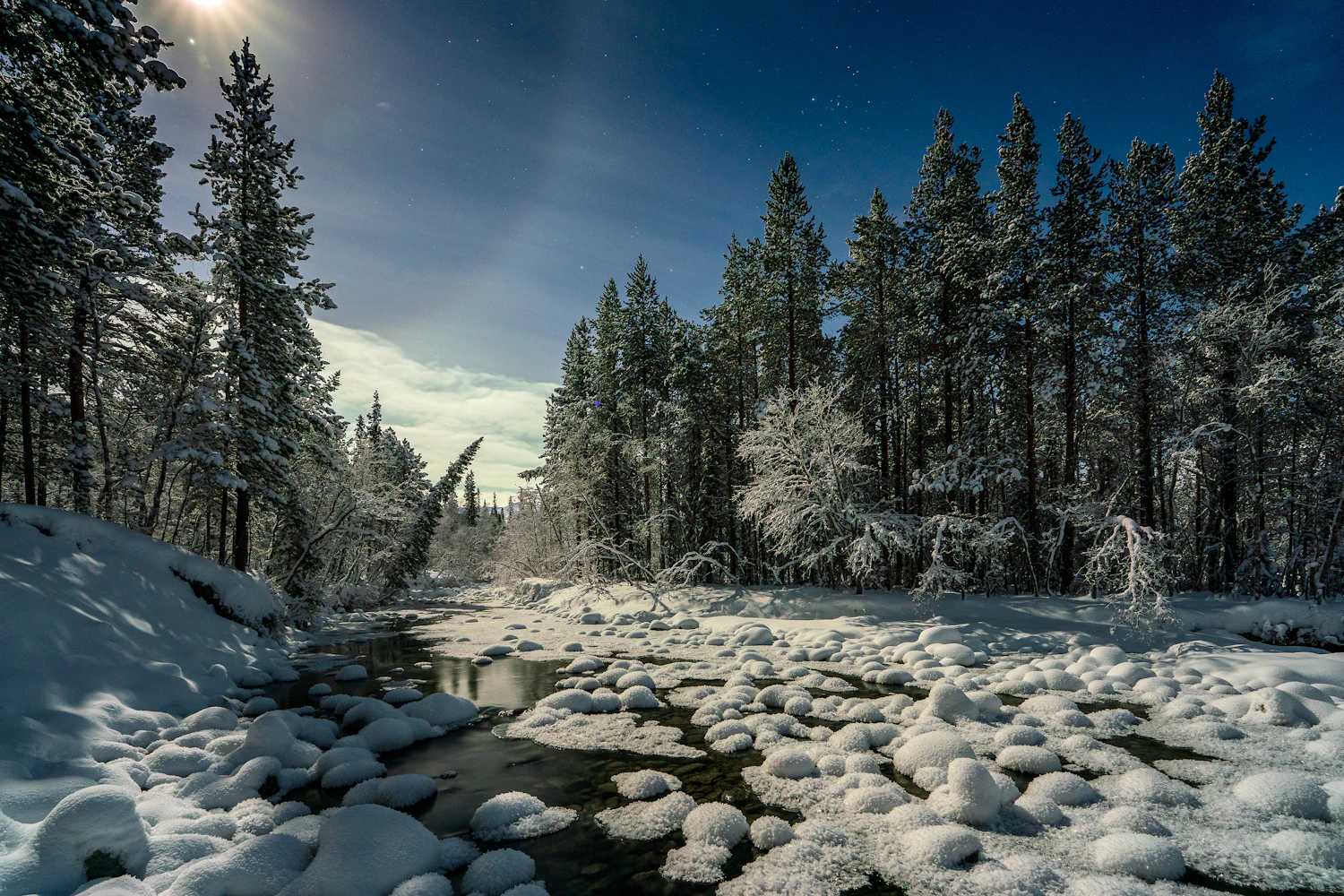 A snow-covered forest and a frozen stream under moonlight