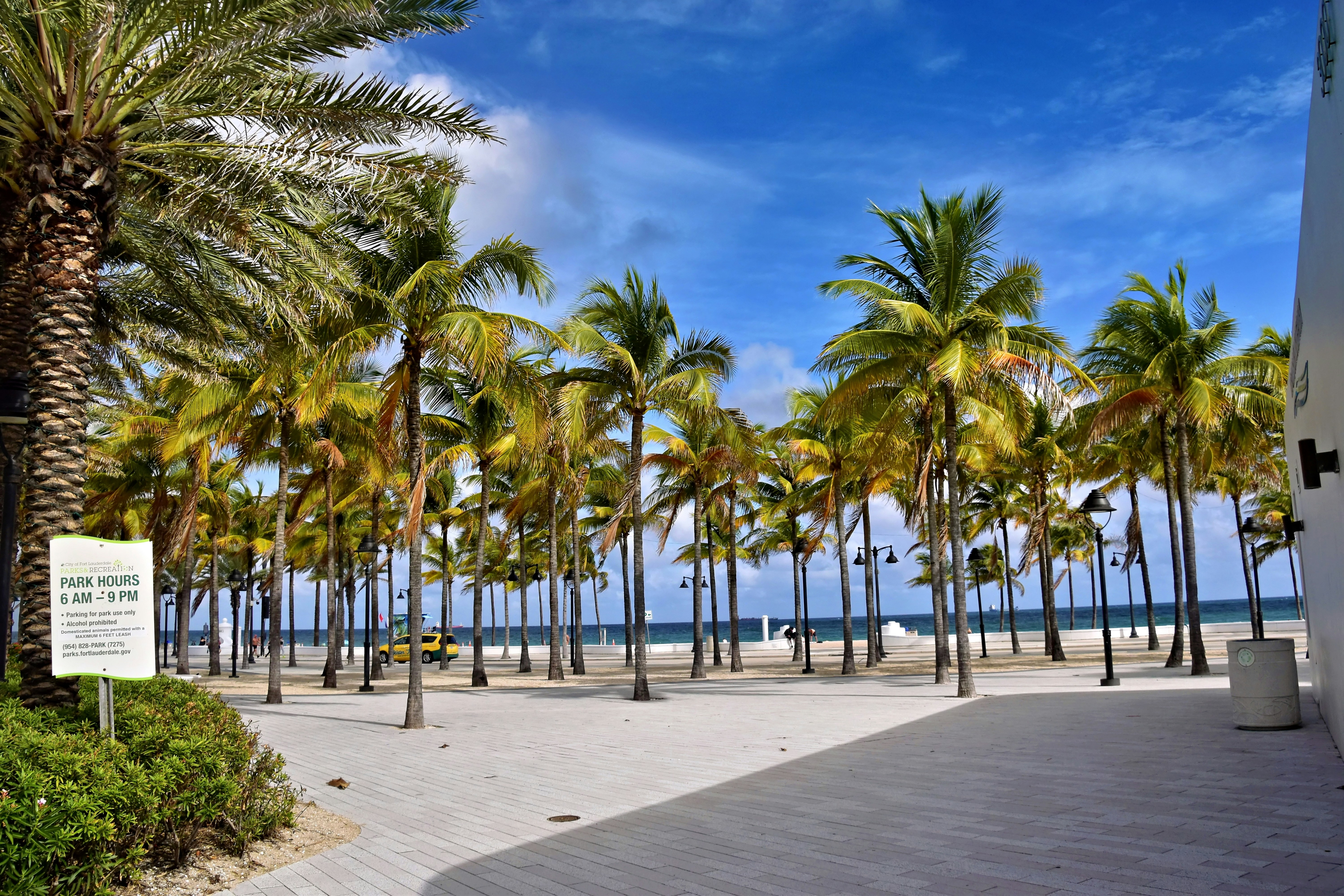 Palm trees line a sandy beach under a blue sky