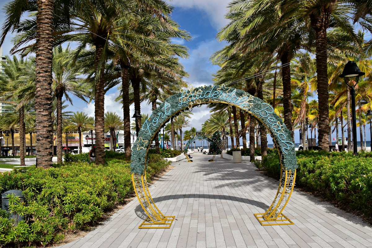 A palm-lined walkway
