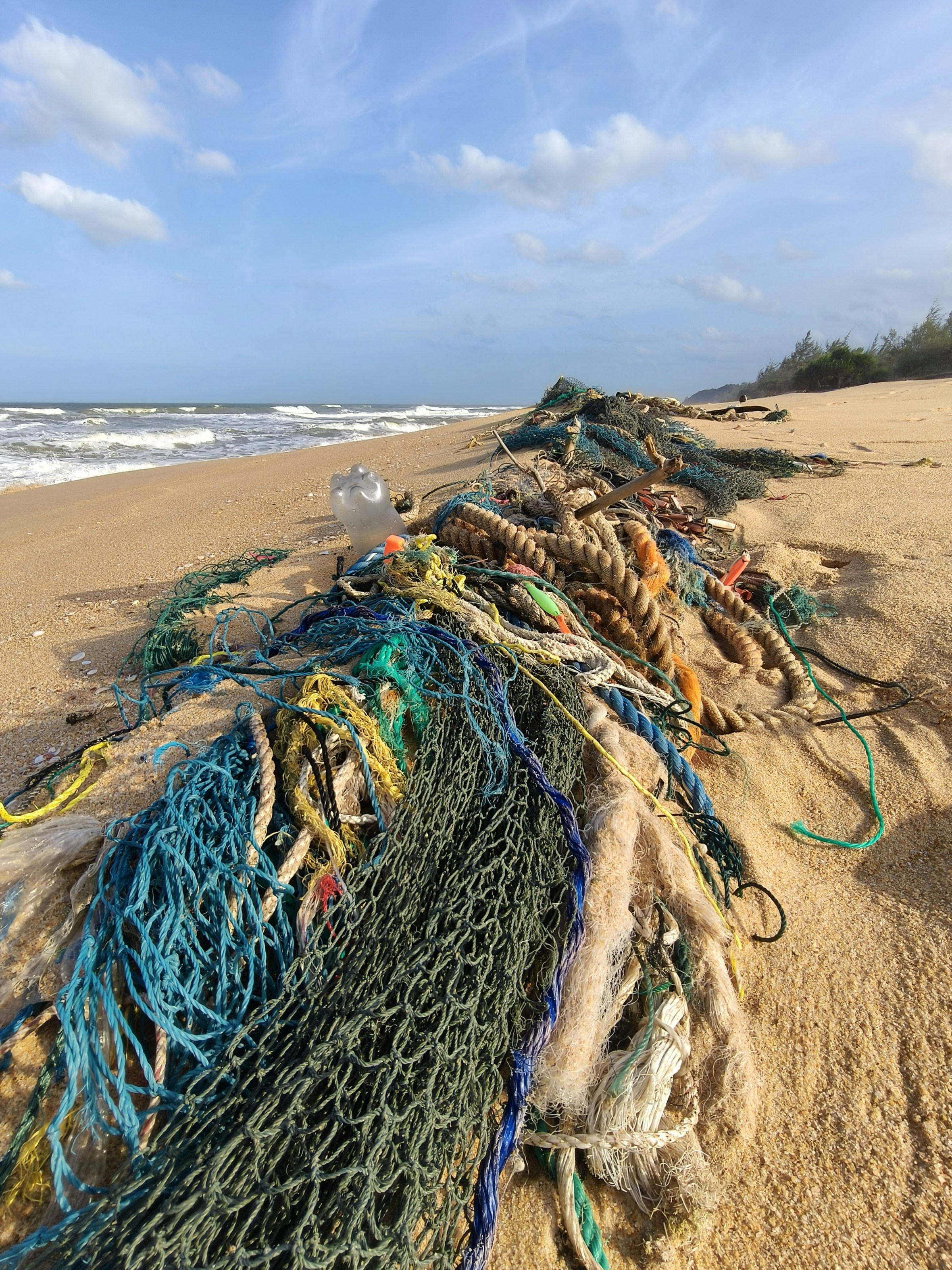 How Tidepool Pop‑Kits Are Transforming Coastal Education and Gift Retail in 2026