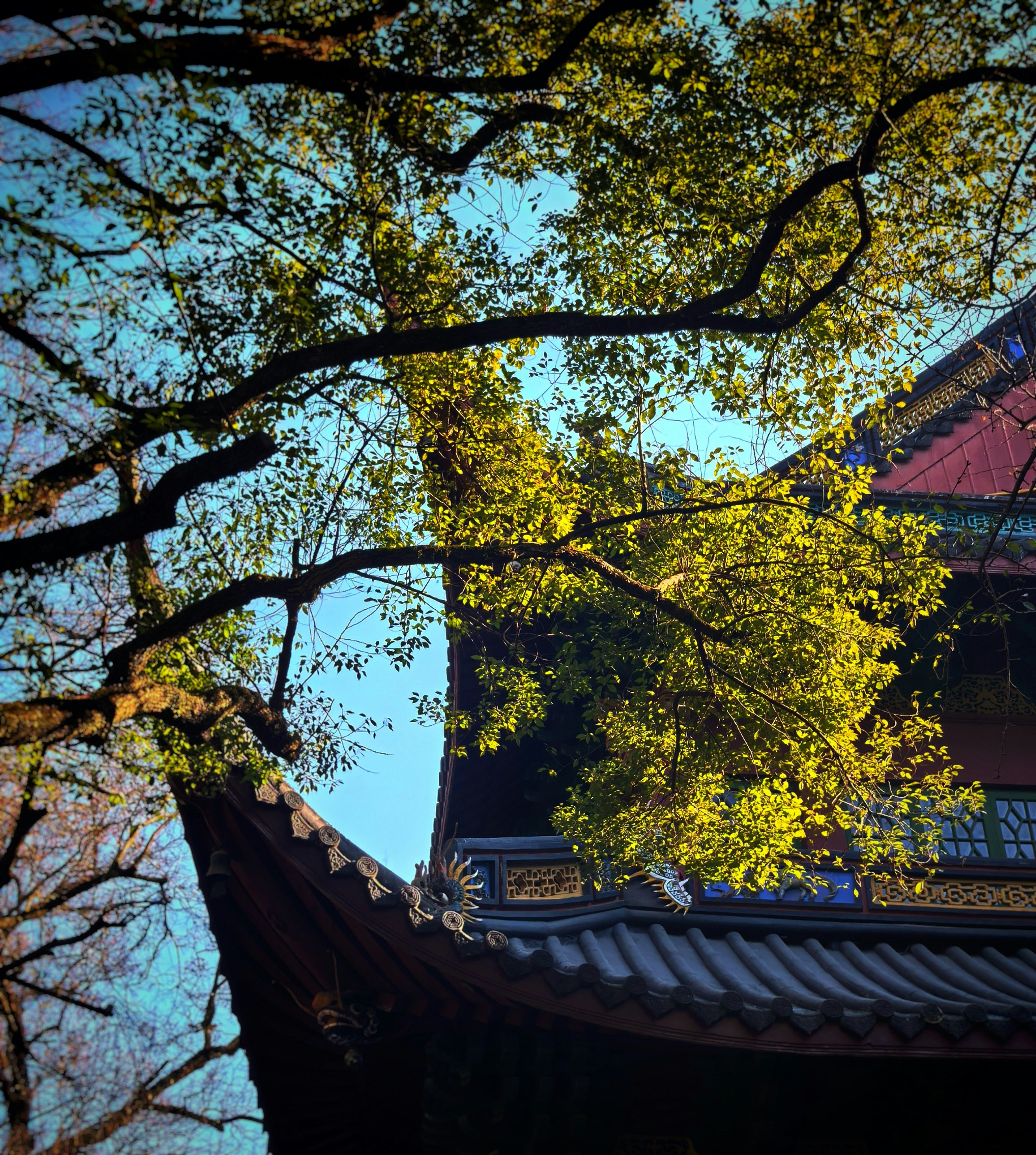 Photo by jasonmiao421