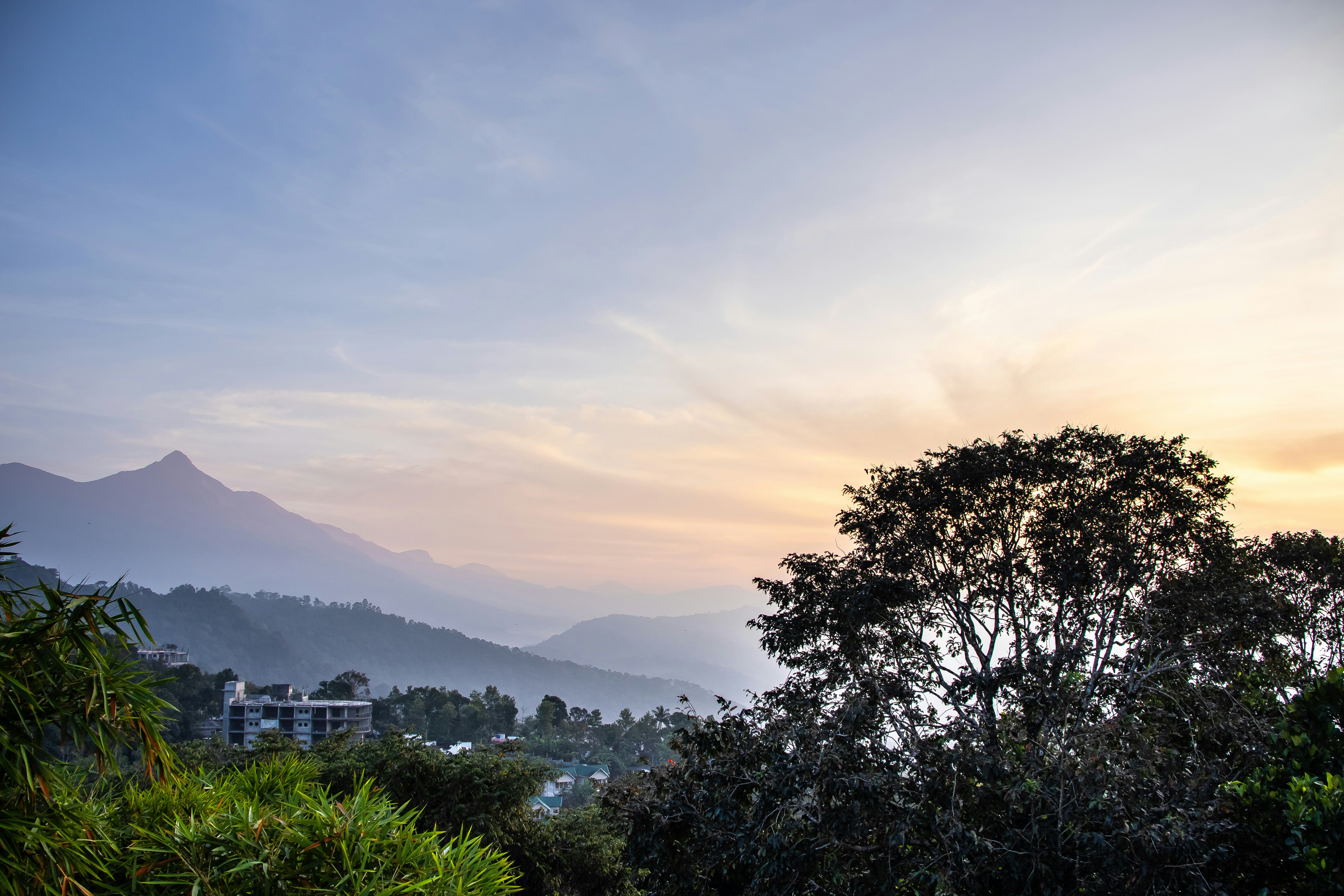 Neblige Berge und Bäume bei Sonnenaufgang