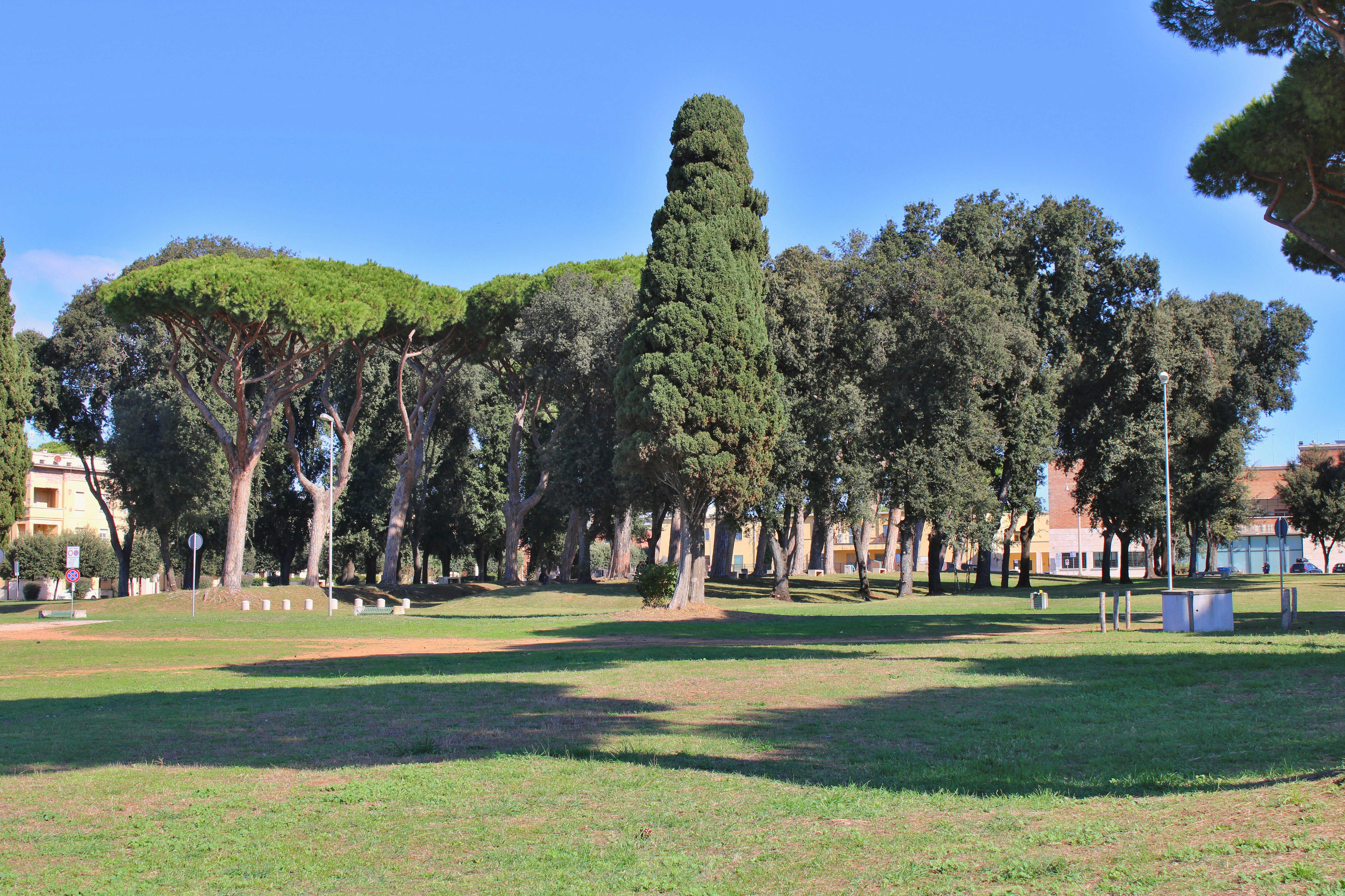 Photo by gabrieleromanoy