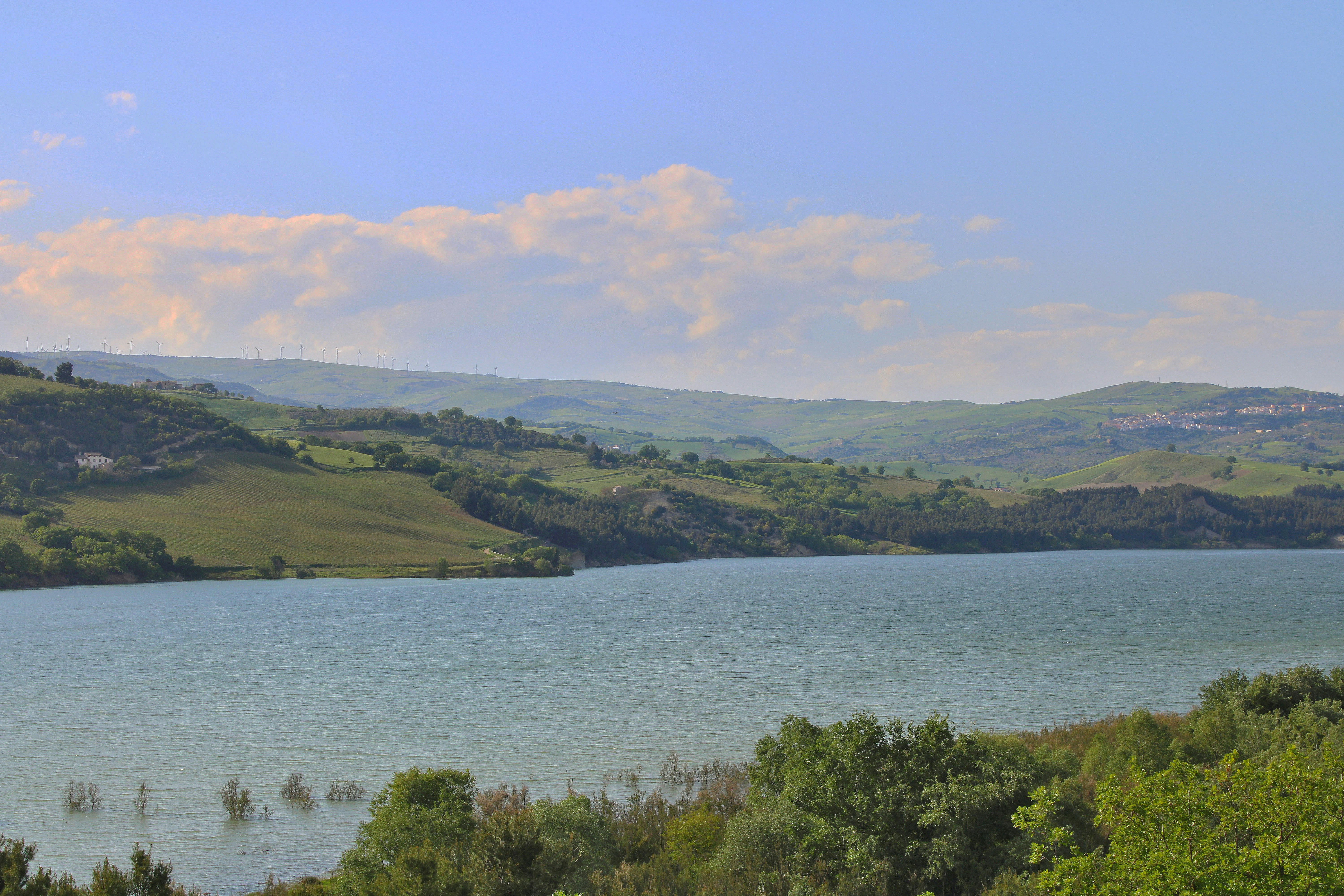 Photo by gabrieleromanoy