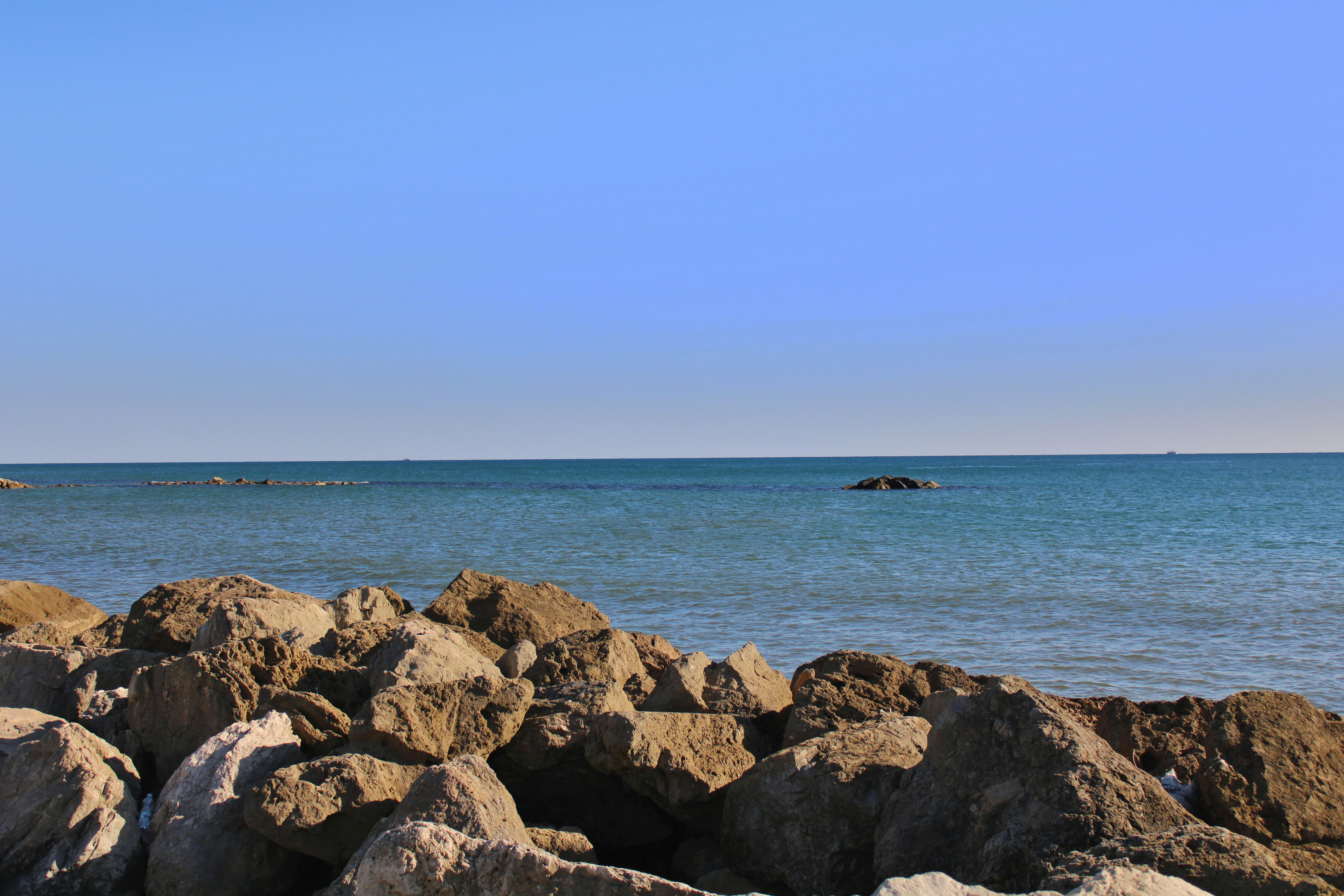 Photo by gabrieleromanoy