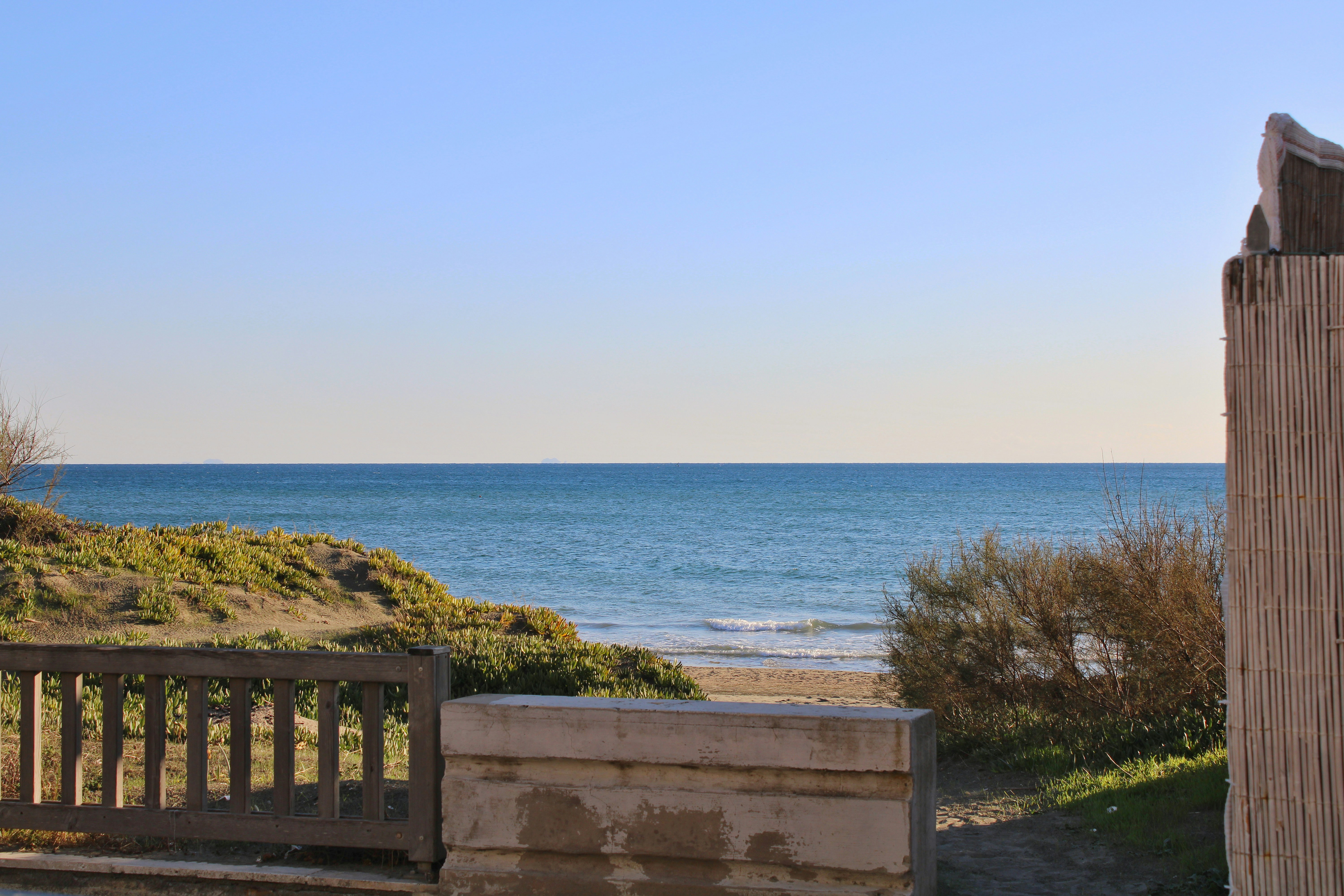 Photo by gabrieleromanoy