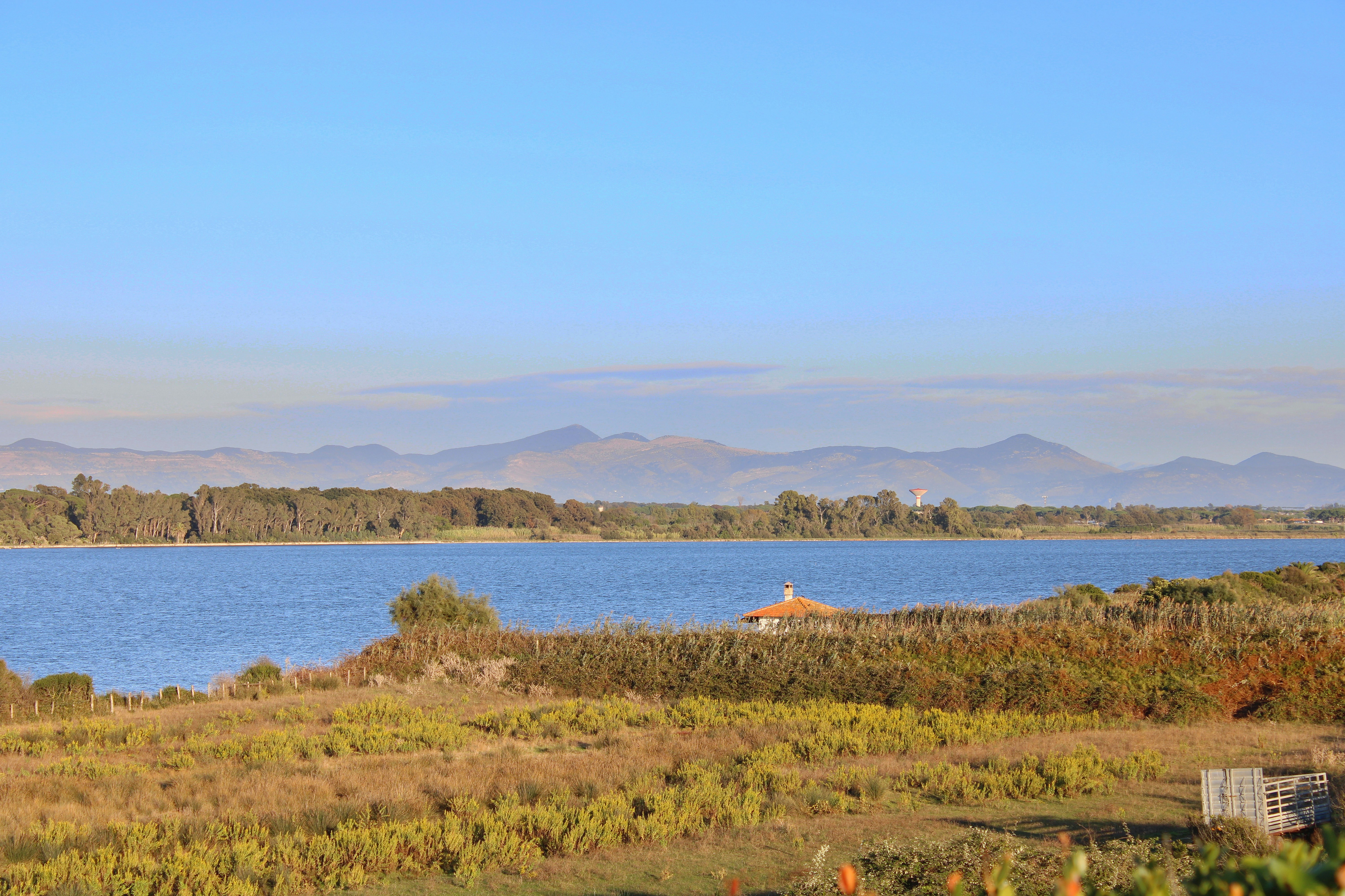 Photo by gabrieleromanoy